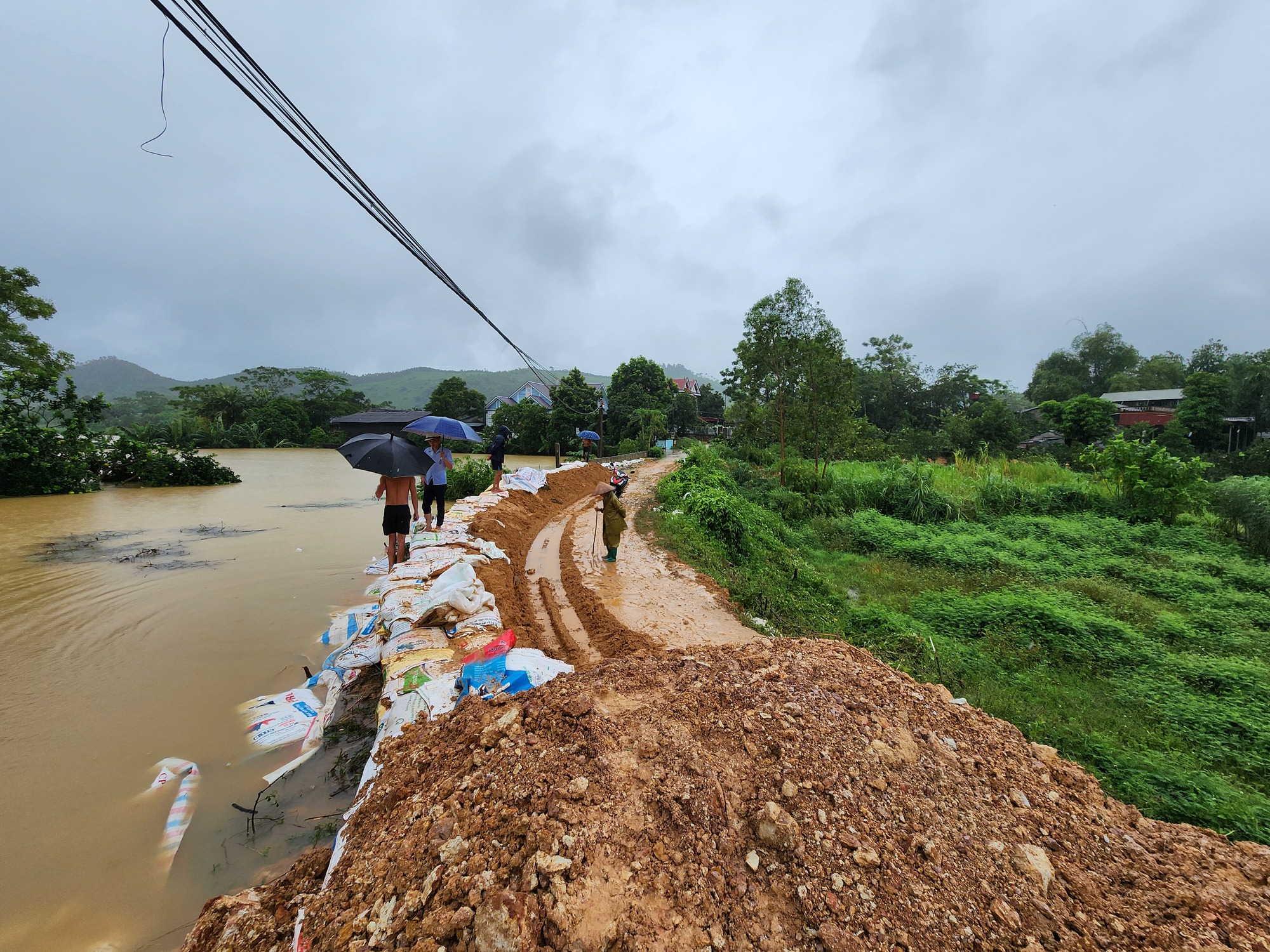 Tuyên Quang: Người dân đắp đê, chạy lợn trong đêm- Ảnh 9.