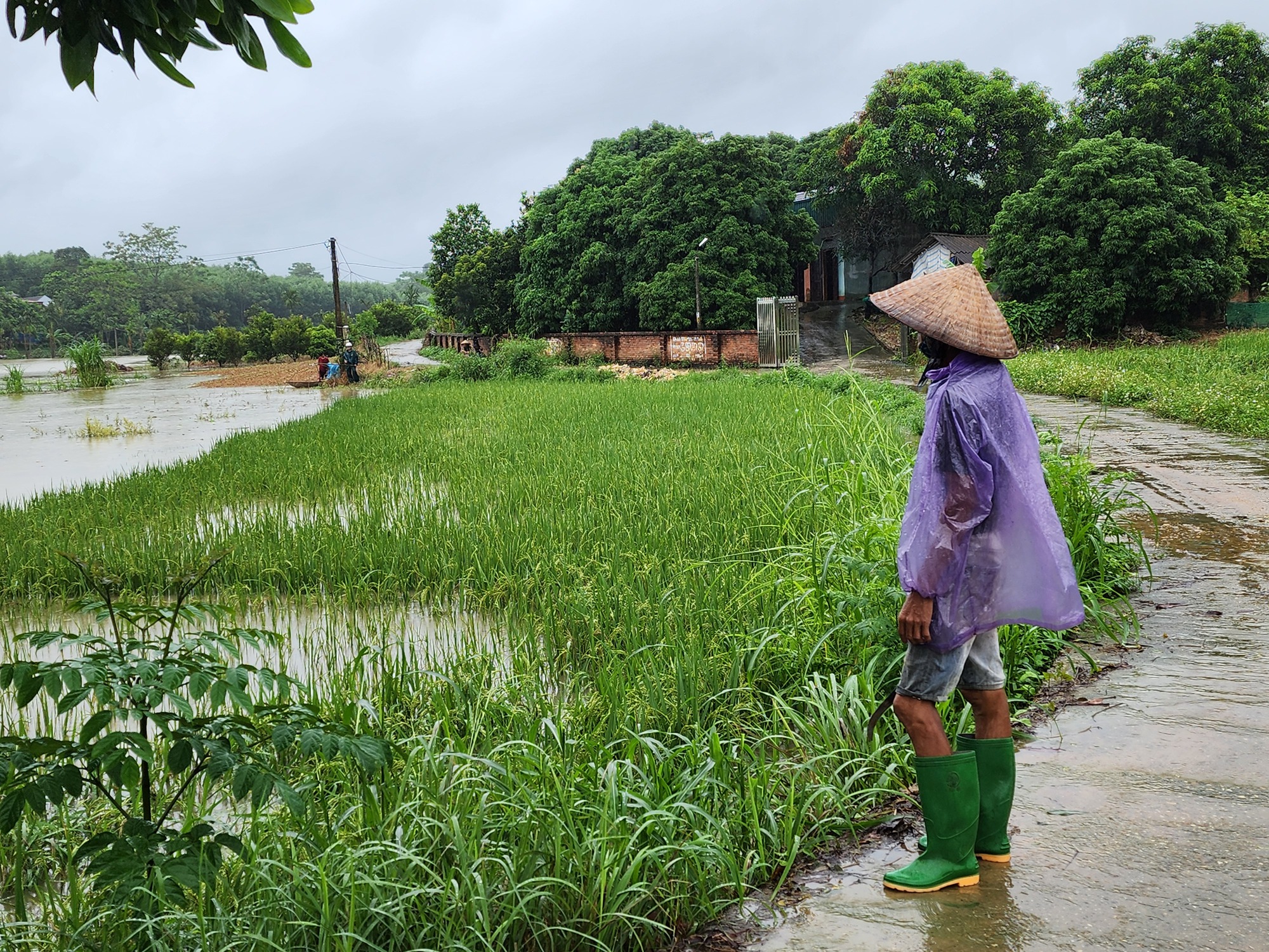 Tuyên Quang: Người dân đắp đê, chạy lợn trong đêm- Ảnh 11.