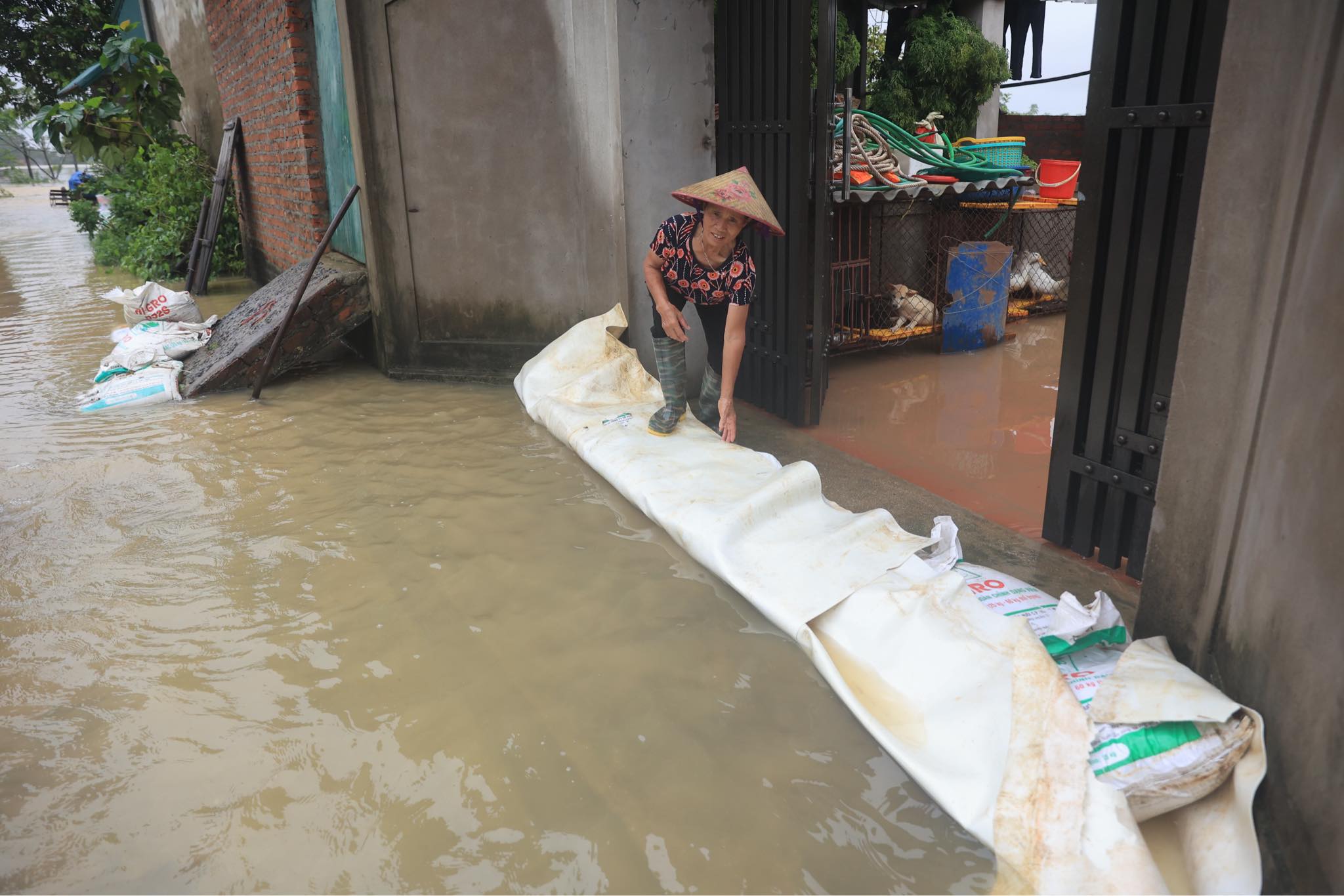 Nước tràn đê sông Bùi, nhiều nhà ở Chương Mỹ ngập ngang mái- Ảnh 9.