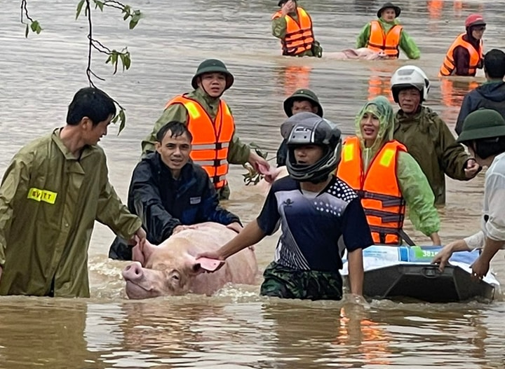 Nước ngập quốc lộ 1, Hà Nam cấm xe lưu thông chiều Hà Nội về- Ảnh 2.