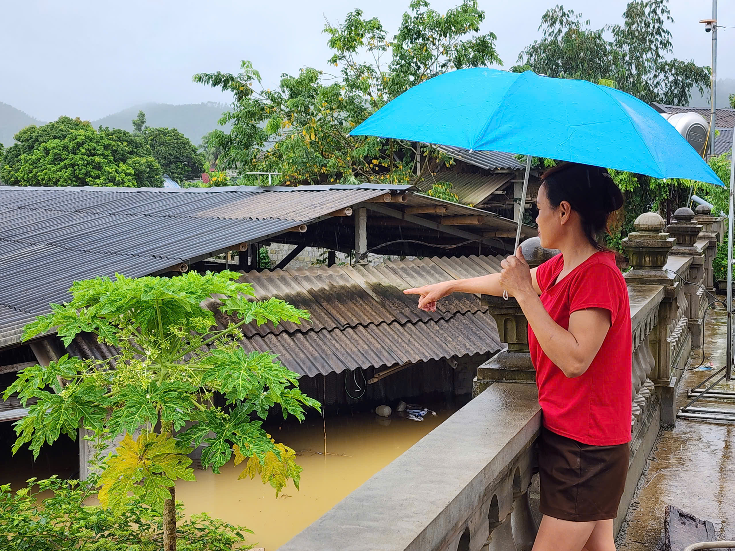 Nước lên cao, chưa thể vá đoạn đê sông Lô nối Phú Thọ và Tuyên Quang- Ảnh 5.