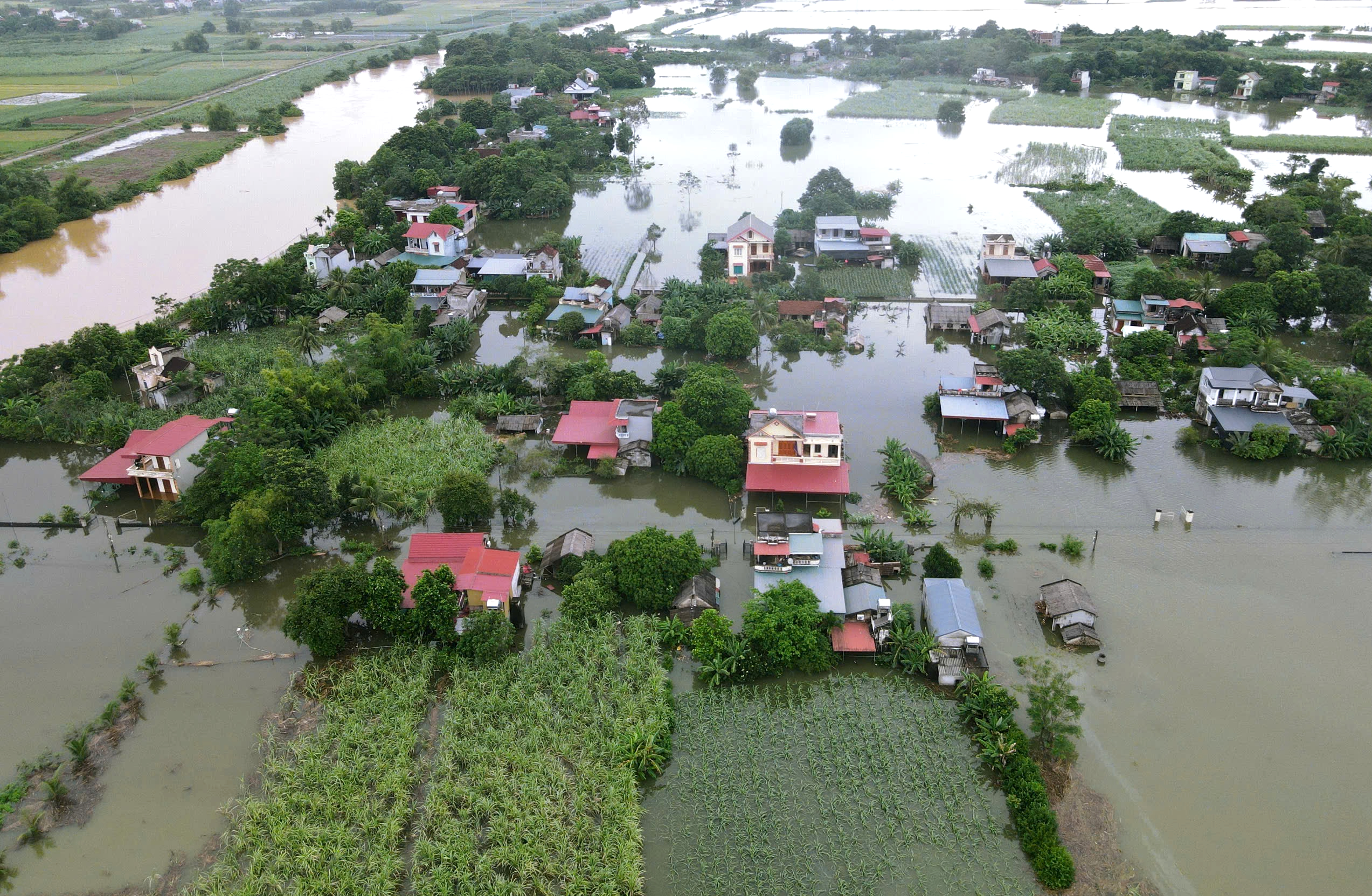 Lũ trên sông Bưởi dâng cao, hơn 200 nhà dân ở Thanh Hóa bị ngập- Ảnh 1.