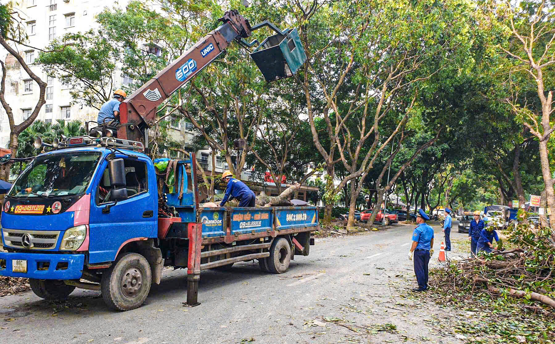 Hà Nội tất bật thu dọn hàng chục nghìn cây xanh gãy đổ sau bão số 3- Ảnh 10.