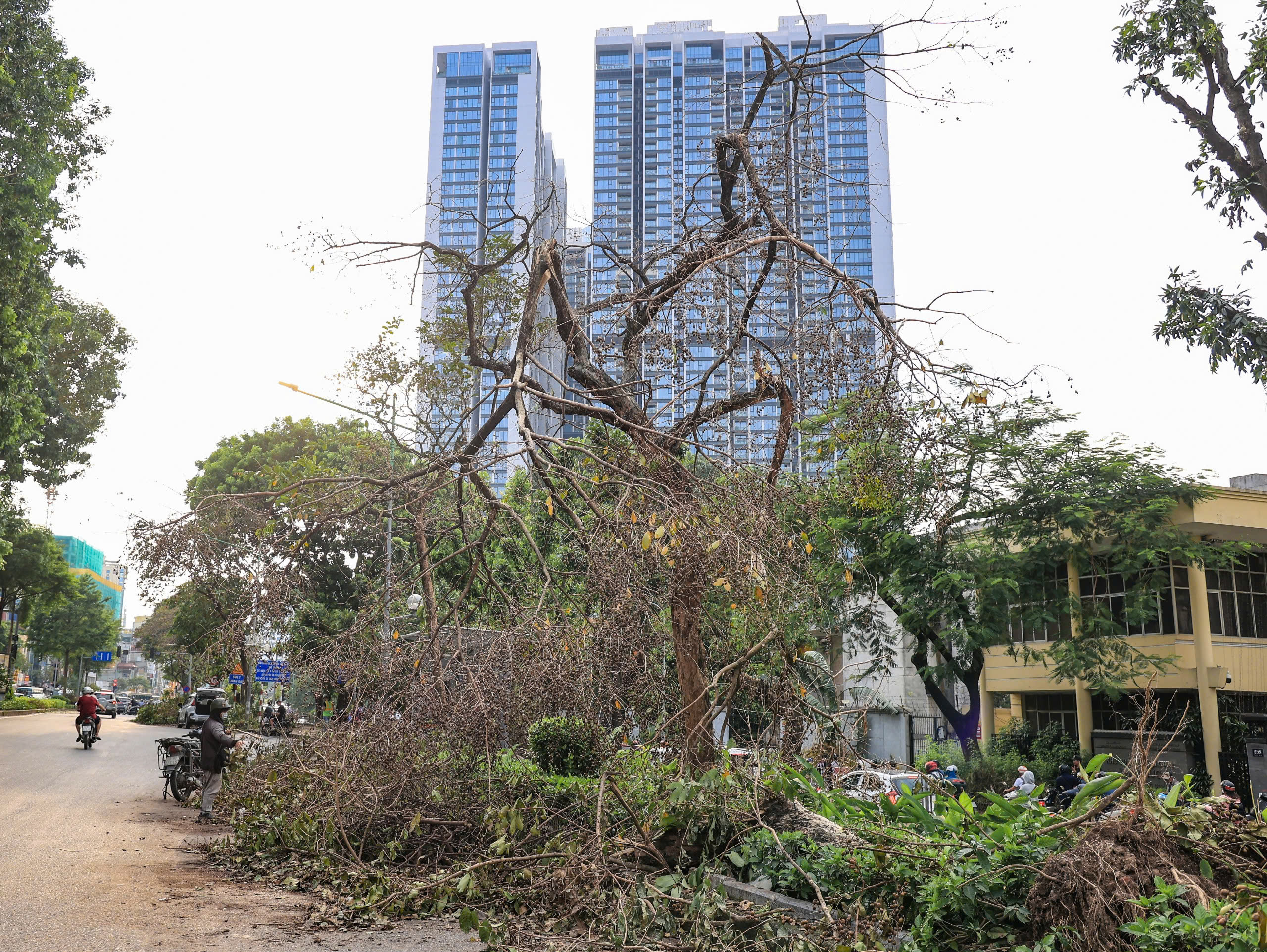 Hà Nội tất bật thu dọn hàng chục nghìn cây xanh gãy đổ sau bão số 3- Ảnh 14.