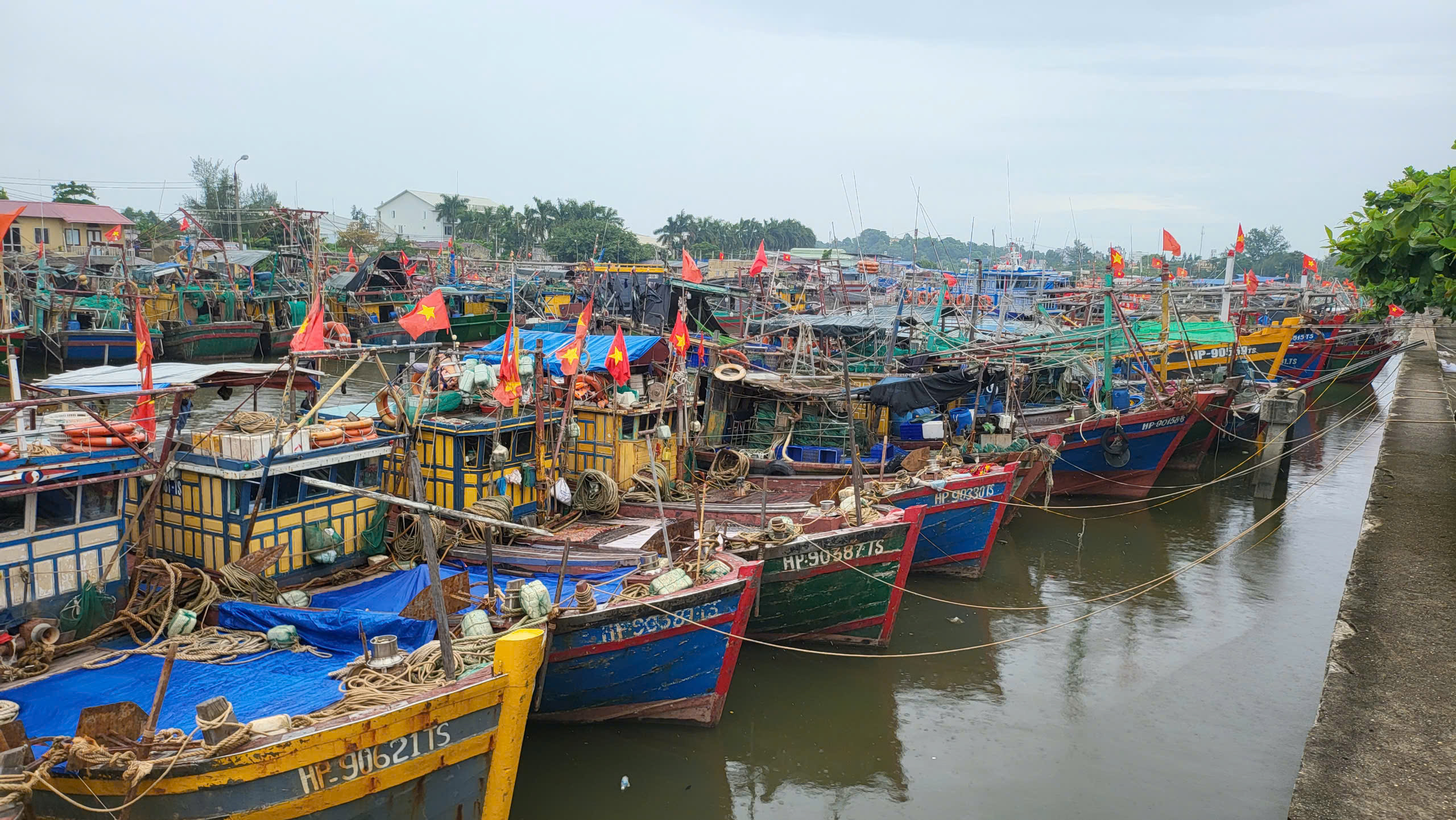 Tàu cá Hải Phòng vươn khơi trở lại, giá hải sản tươi sống tăng gấp đôi- Ảnh 1.