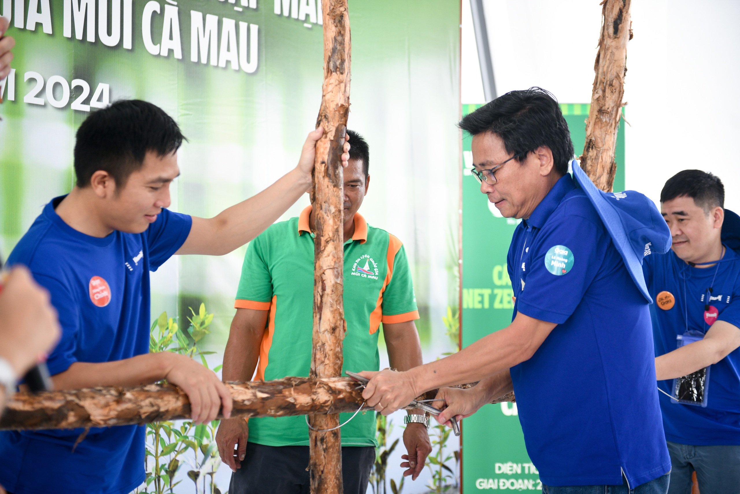 Ông Lê Hoàng Minh thực hiện mẫu thao tác buộc thép các cọc cừ tràm để làm hàng rào khoanh nuôi.