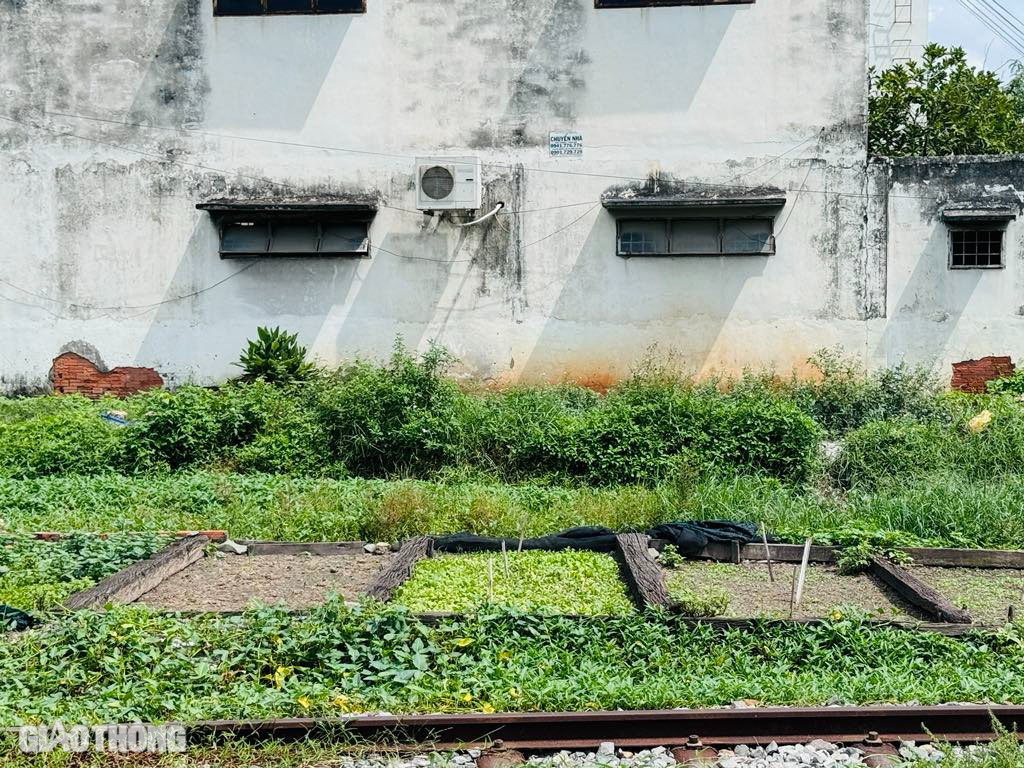 Cận cảnh ga Bình Triệu "treo" hơn 20 năm đang điều chỉnh thành ga metro- Ảnh 4.