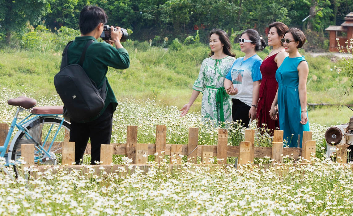 Mưa lũ hậu bão Yagi khiến Hà Nội mất mùa cúc họa mi, người trồng hoa tay trắng- Ảnh 10.