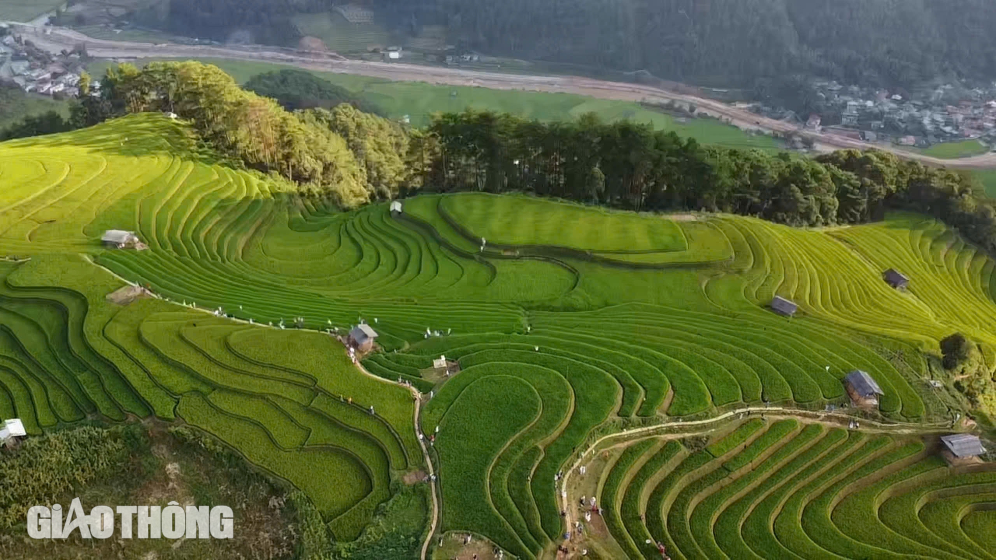 Du khách mê đắm vẻ đẹp ruộng bậc thang Mù Cang Chải mùa lúa chín- Ảnh 2.