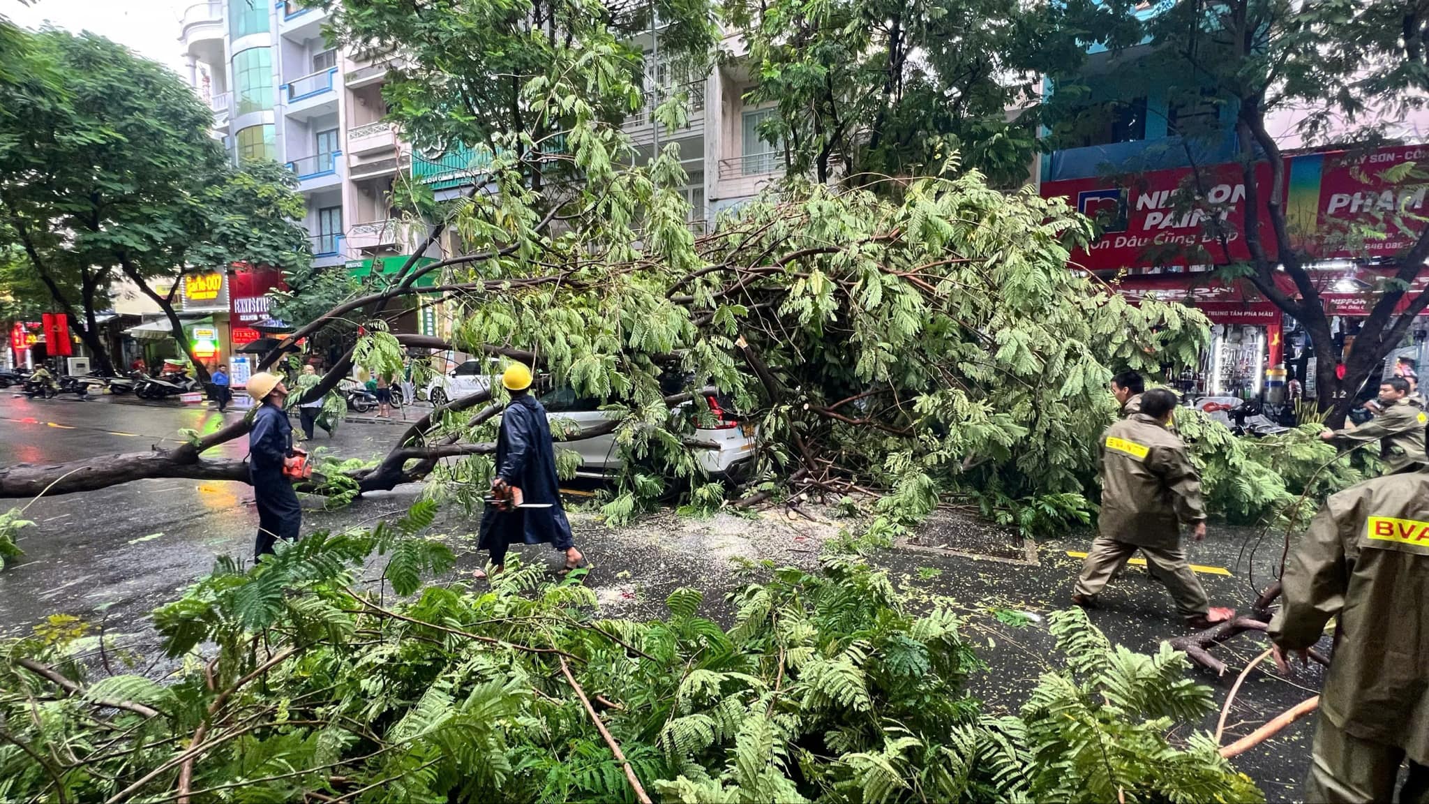 Cây xanh bật gốc đổ xuống đường, đè trúng ô tô, xe máy tại TP.HCM- Ảnh 3.