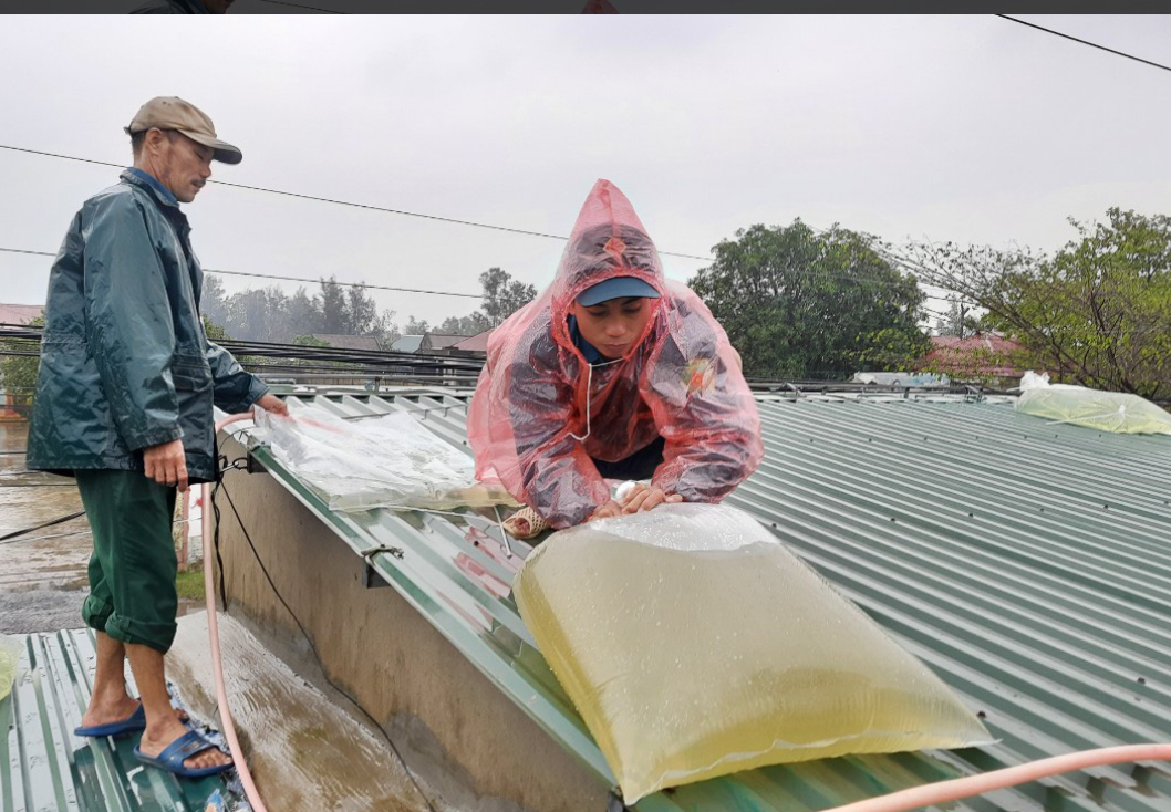 Lên phương án chằng chống nhà cửa để ứng phó với bão Yagi- Ảnh 1.