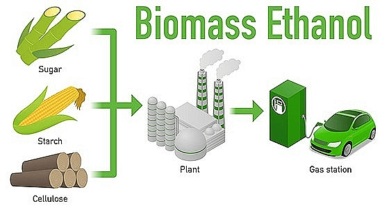 Vì sao nhiên liệu sinh học giúp bảo vệ môi trường?- Ảnh 1.