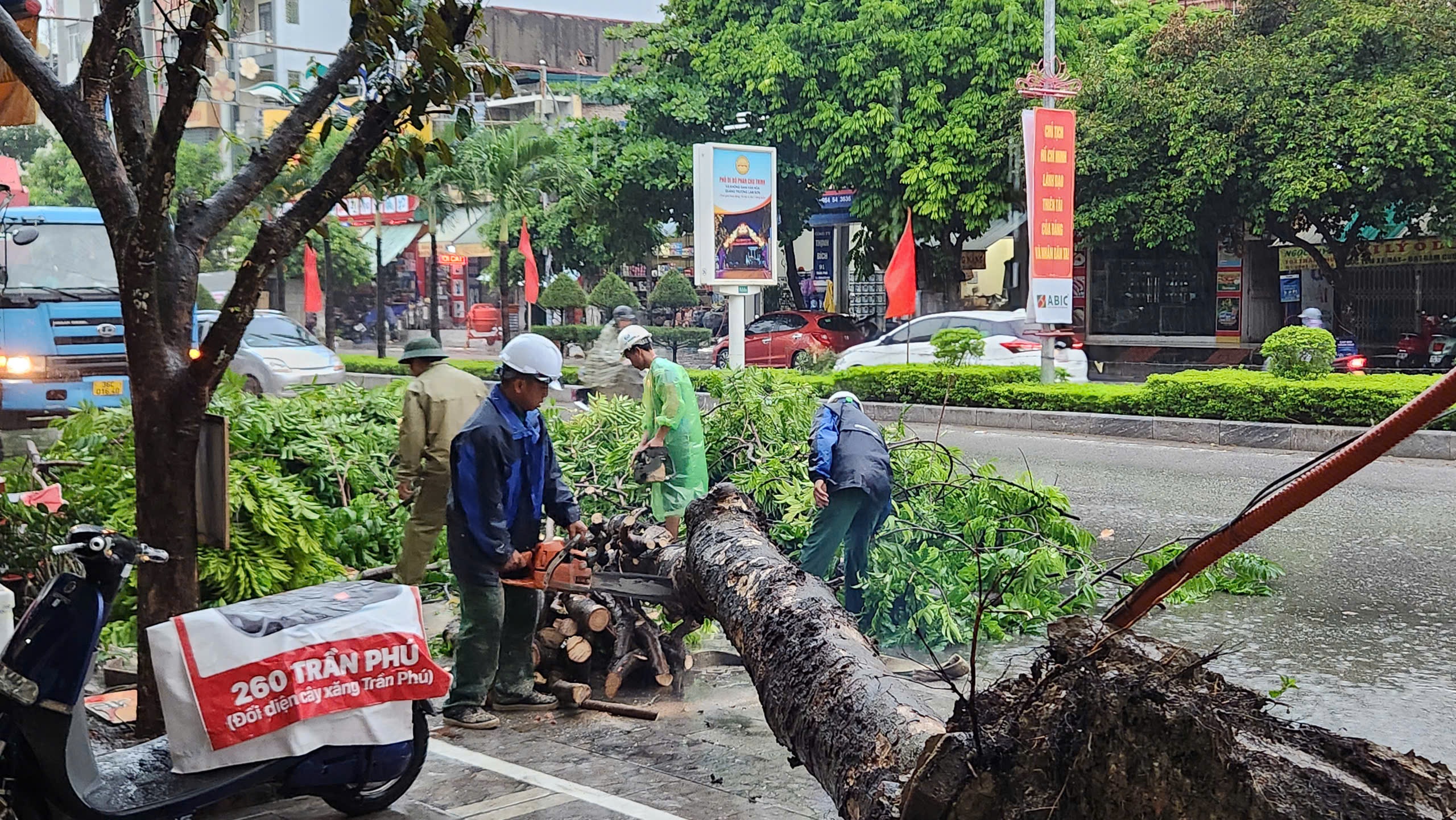 Cây xanh đổ đè trúng người đi đường ở Thanh Hóa trong cơn mưa lớn trước bão số 3- Ảnh 4.