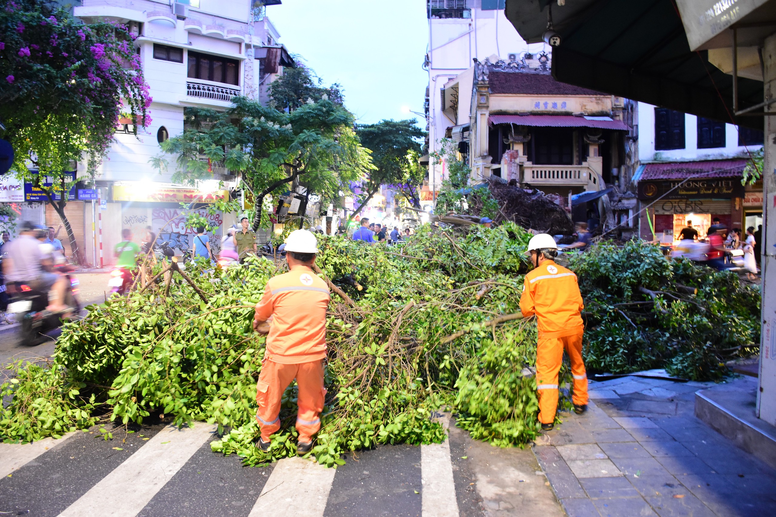 Điện lực Hà Nội "ra quân" đảm bảo an toàn nguồn điện Thủ đô- Ảnh 2.