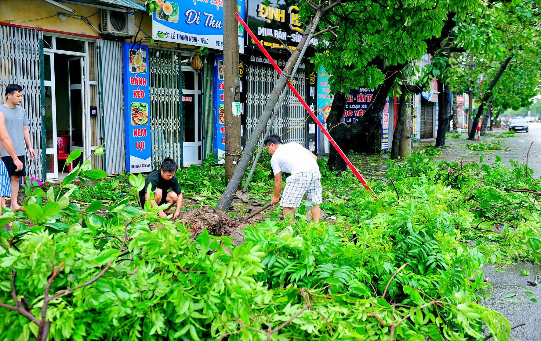 Cây đổ chắn kín nhiều tuyến đường, người dân Hải Dương xắn tay cùng giải tỏa- Ảnh 6.