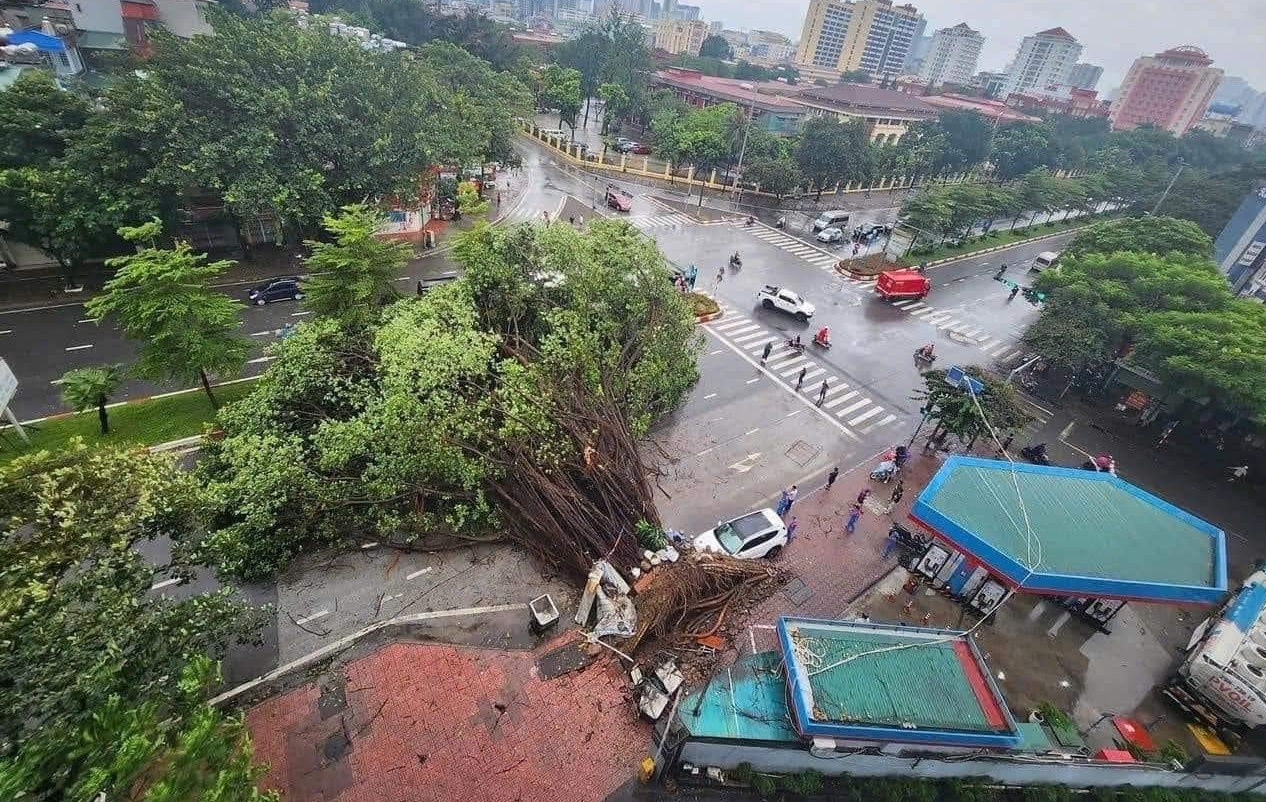 Hậu bão số 3: Vùng tâm bão vẫn đang điện mất, cây đổ, mạng viễn thông gián đoạn
- Ảnh 4.