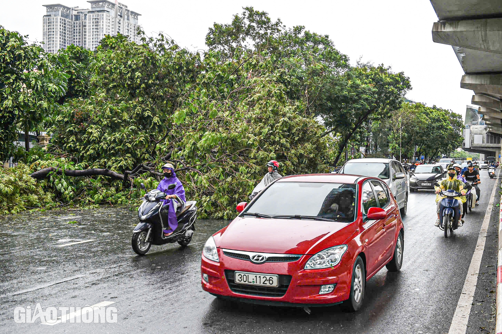 Cảnh tượng chưa từng có tại Hà Nội sau bão số 3 Yagi- Ảnh 1.