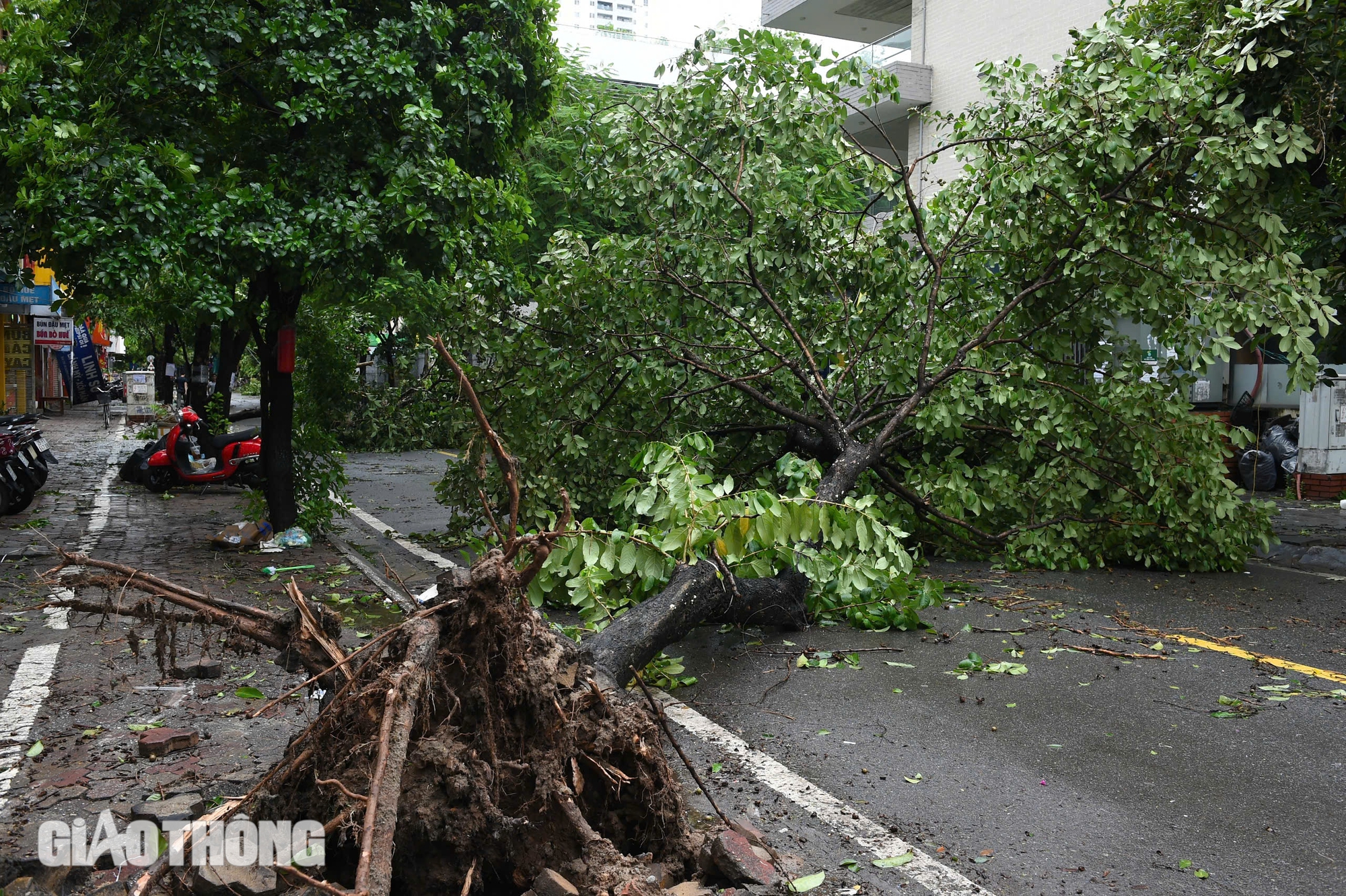 Cảnh tượng chưa từng có tại Hà Nội sau bão số 3 Yagi- Ảnh 5.