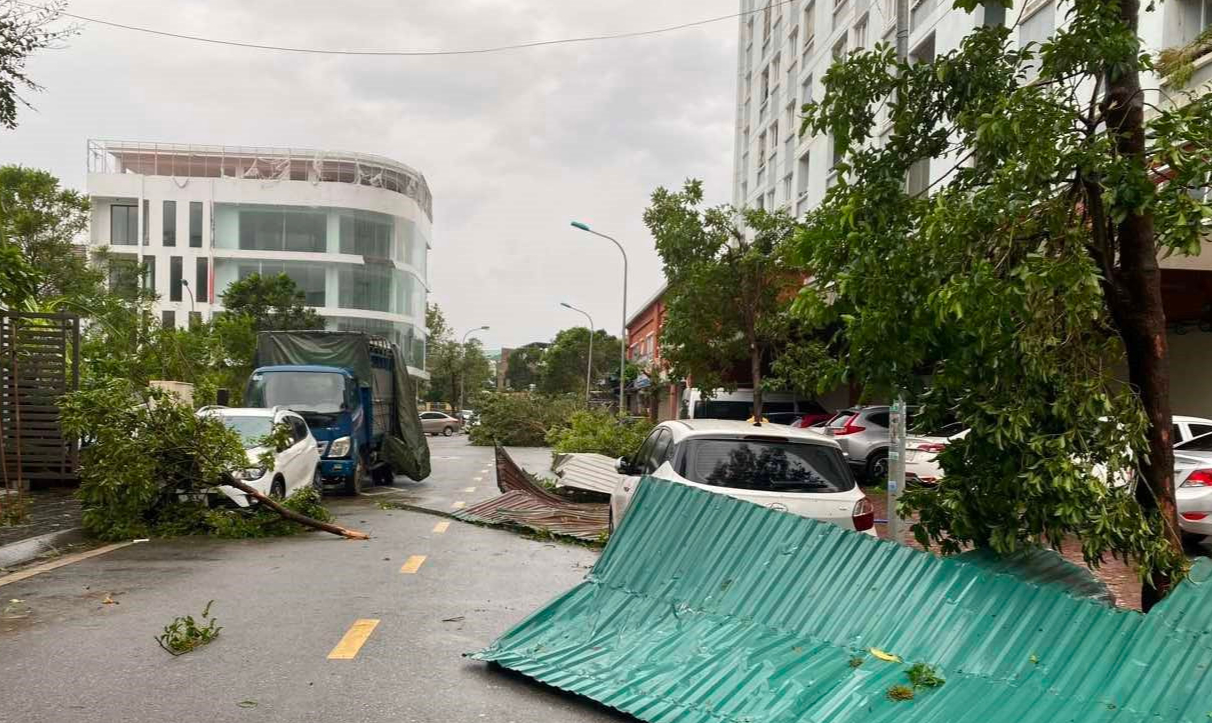 Cây đổ chắn kín nhiều tuyến đường, người dân Hải Dương xắn tay cùng giải tỏa- Ảnh 3.