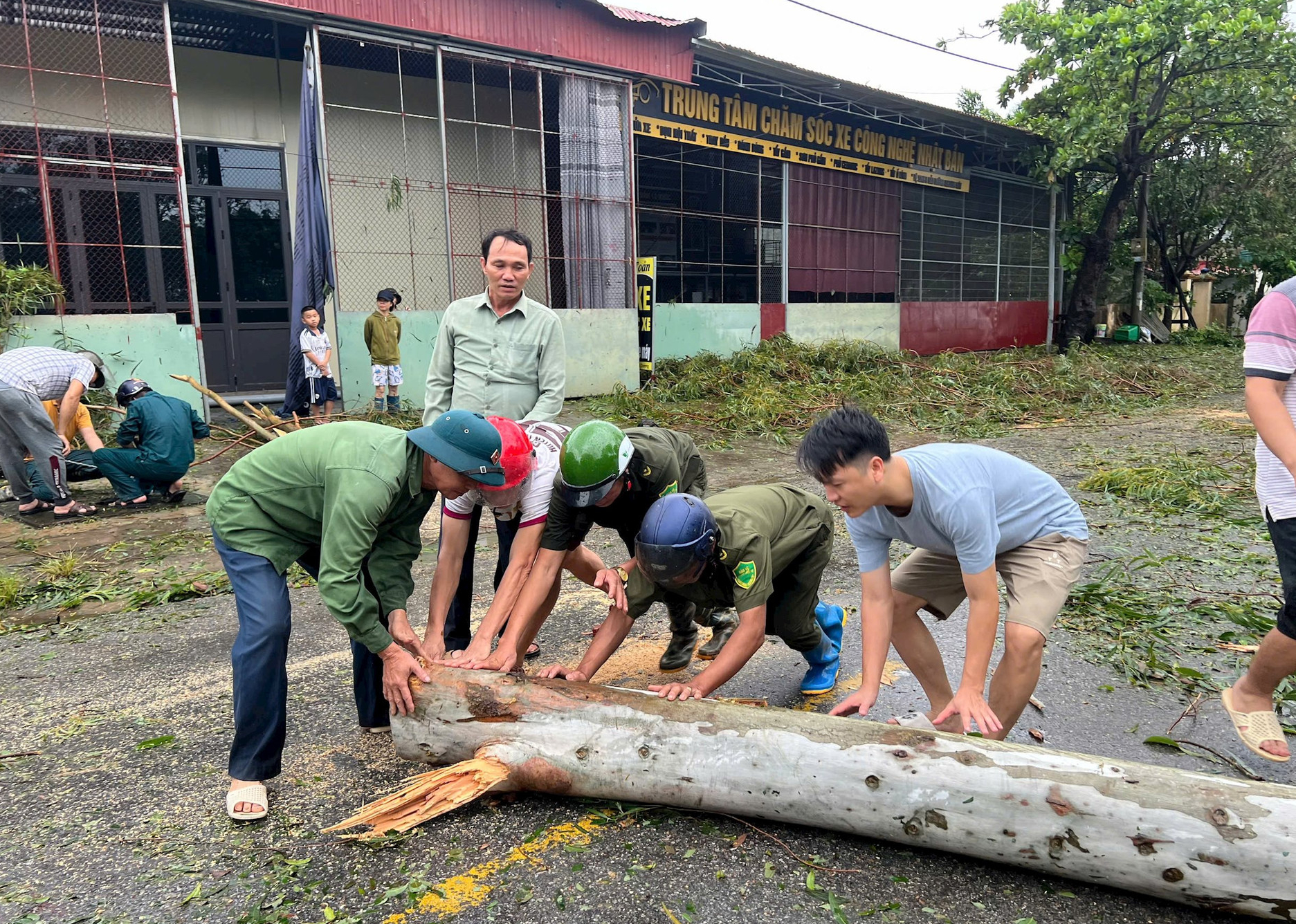 Cây đổ chắn kín nhiều tuyến đường, người dân Hải Dương xắn tay cùng giải tỏa- Ảnh 11.