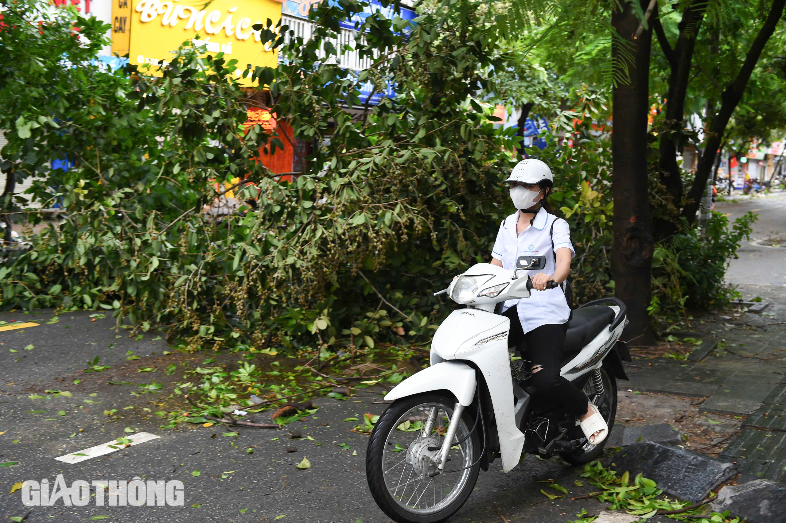 Cảnh tượng chưa từng có tại Hà Nội sau bão số 3 Yagi- Ảnh 6.