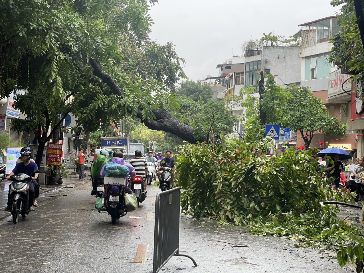 14.000 cây xanh gãy đổ, Hà Nội xuyên đêm dọn dẹp thông đường- Ảnh 1.