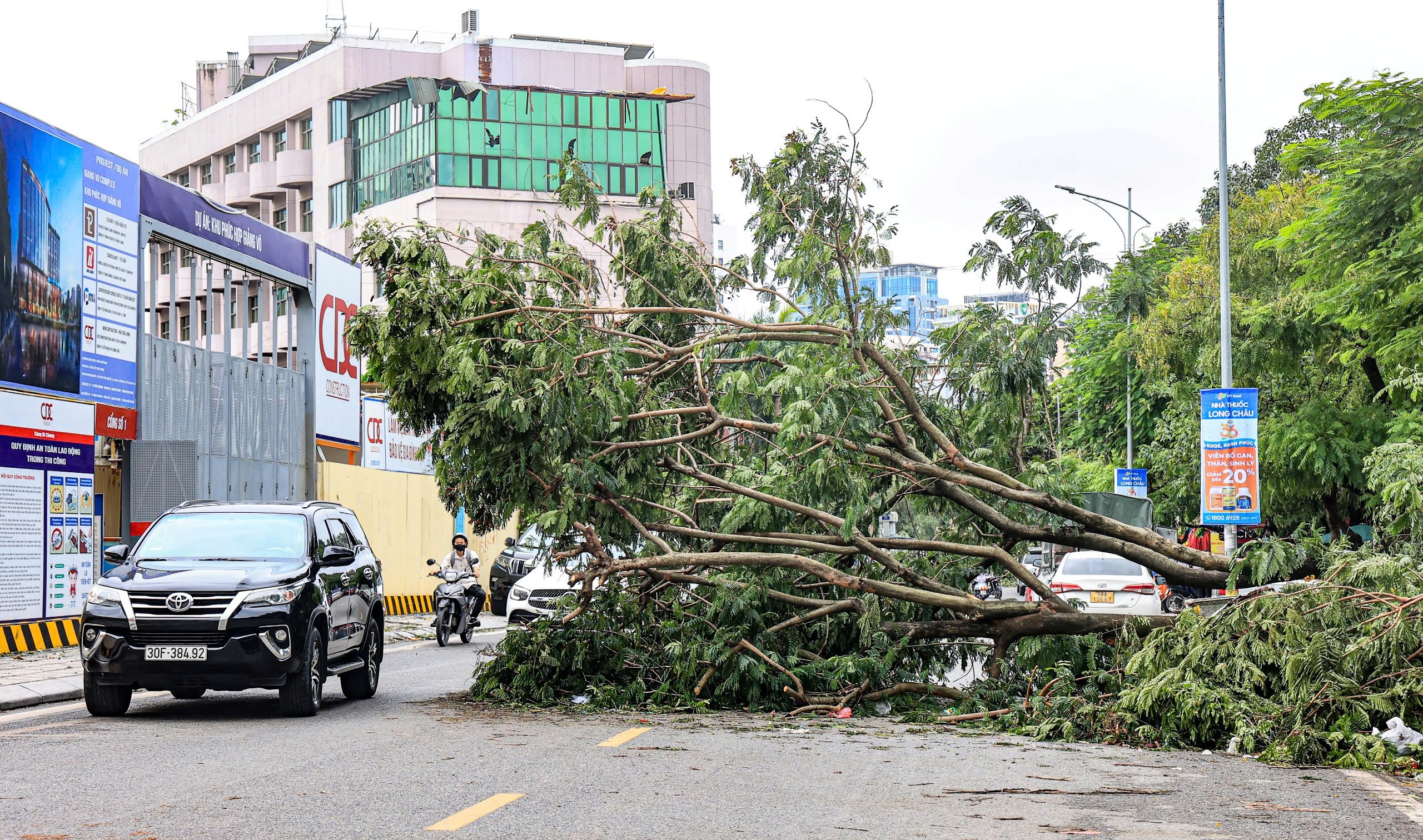 Hà Nội: Nhiều tuyến phố vẫn ngổn ngang cây đổ- Ảnh 14.