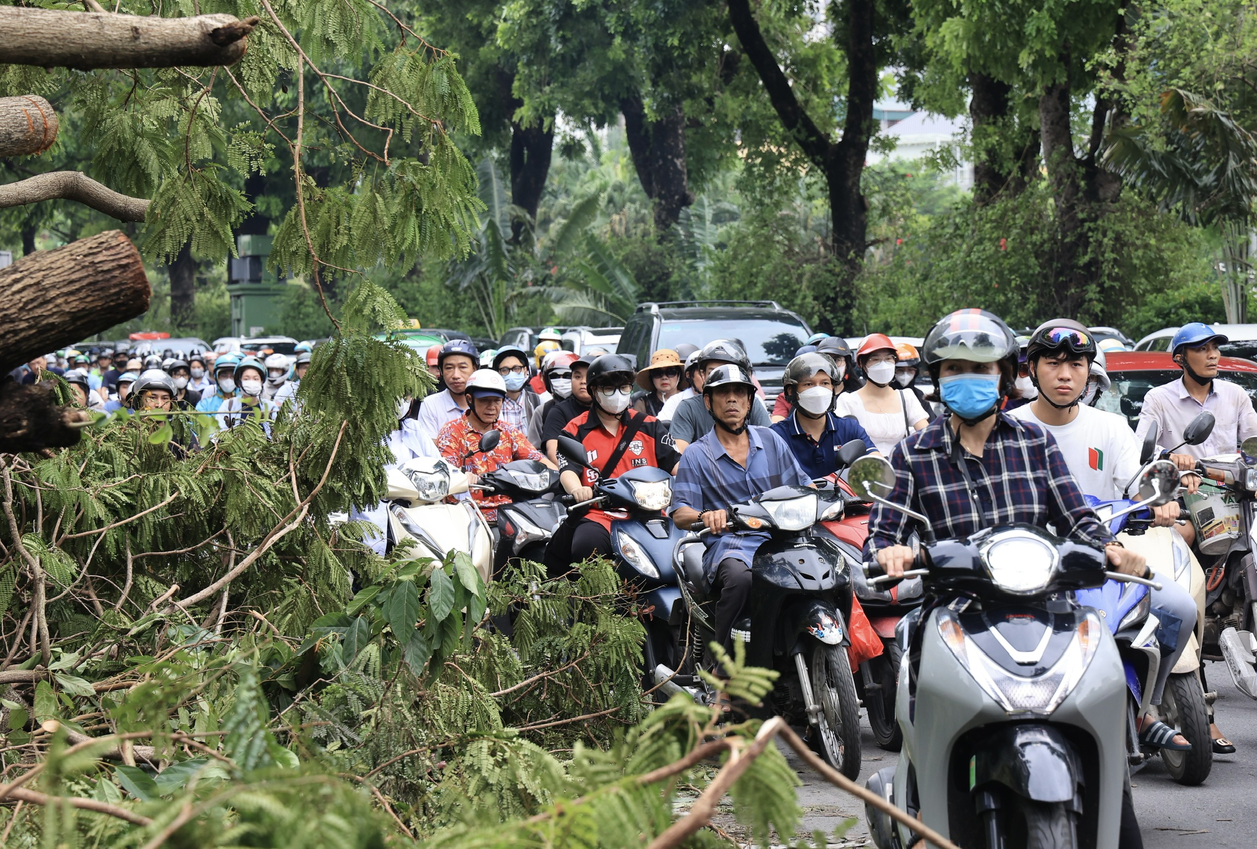 Hà Nội: Nhiều tuyến phố vẫn ngổn ngang cây đổ- Ảnh 11. Hà Nội: Nhiều tuyến phố vẫn ngổn ngang cây đổ- Ảnh 11.
