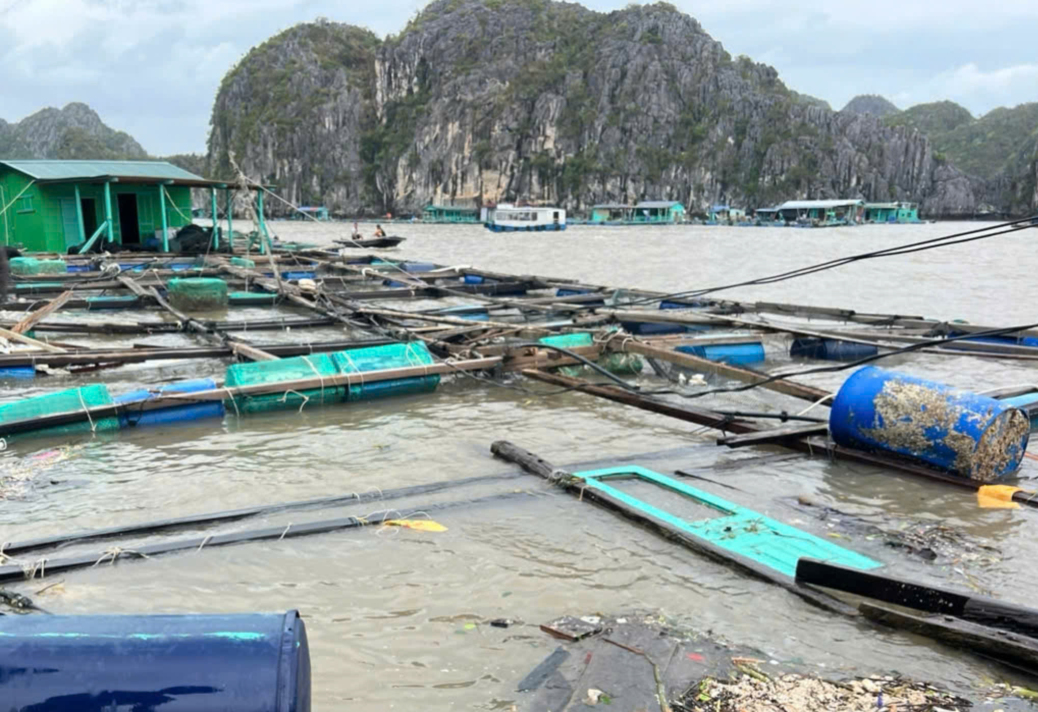 Hải Phòng: Tuyến phà ra đảo Cát Bà hoạt động trở lại sau bão số 3- Ảnh 4. Hải Phòng: Tuyến phà ra đảo Cát Bà hoạt động trở lại sau bão số 3- Ảnh 4.