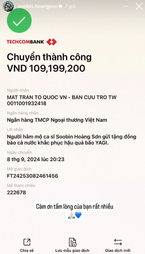 Tùng Dương, Uyên Linh và nghệ sĩ Việt ủng hộ đồng bào vùng bão lũ sau bão Yagi- Ảnh 8.