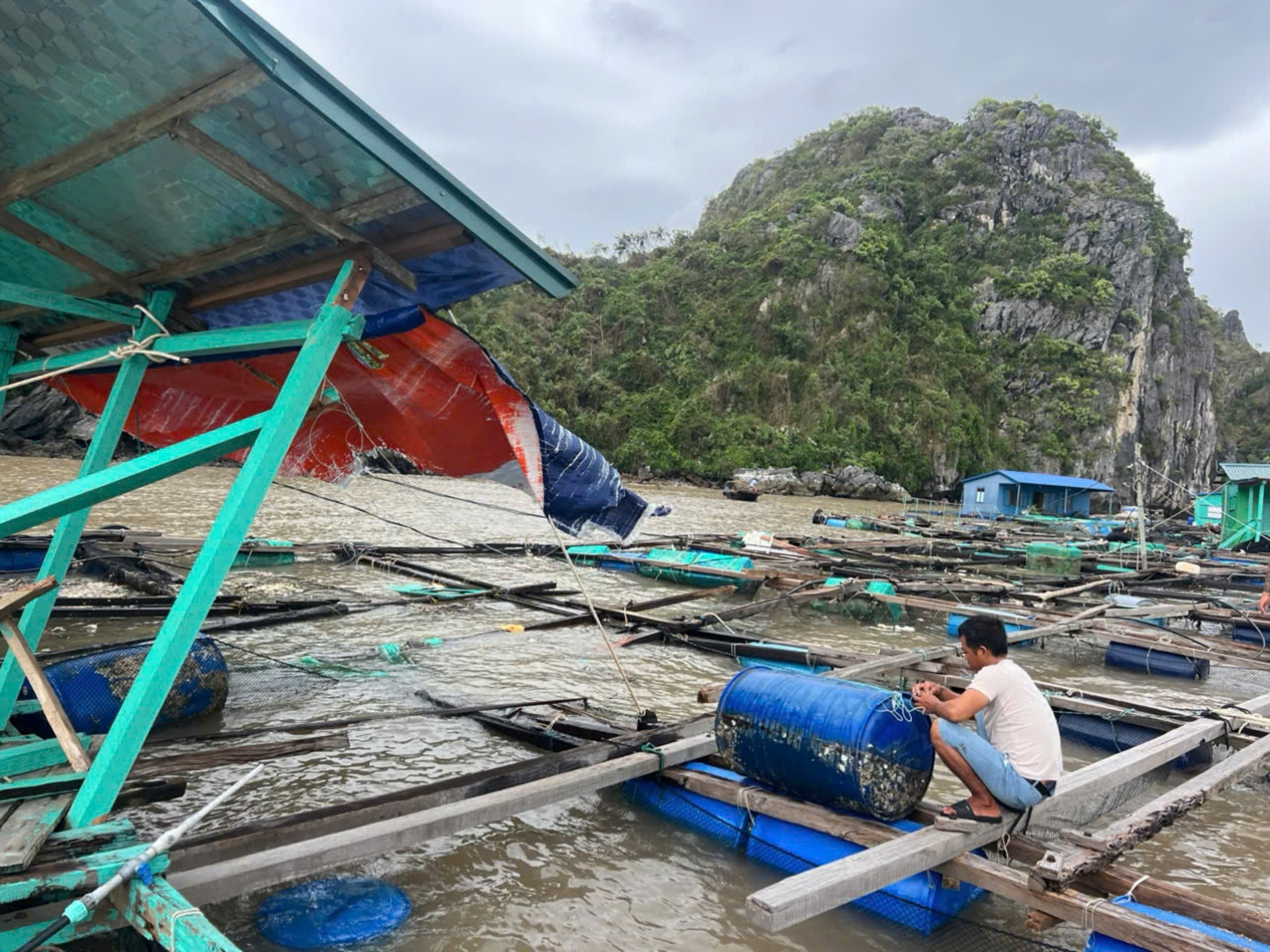 Hải Phòng: Tuyến phà ra đảo Cát Bà hoạt động trở lại sau bão số 3- Ảnh 3. Hải Phòng: Tuyến phà ra đảo Cát Bà hoạt động trở lại sau bão số 3- Ảnh 3.