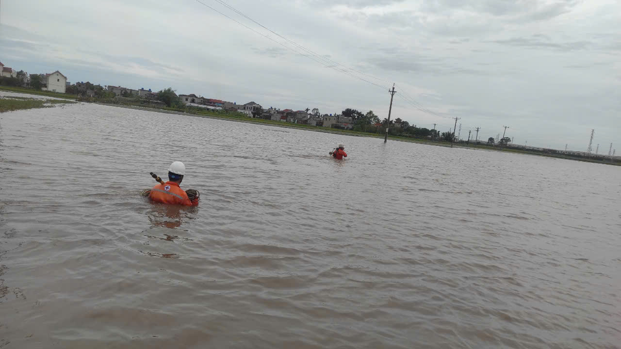 Thái Bình: Nhiều nơi dân mất điện, cần 3-4 ngày để khắc phục hoàn toàn- Ảnh 3.