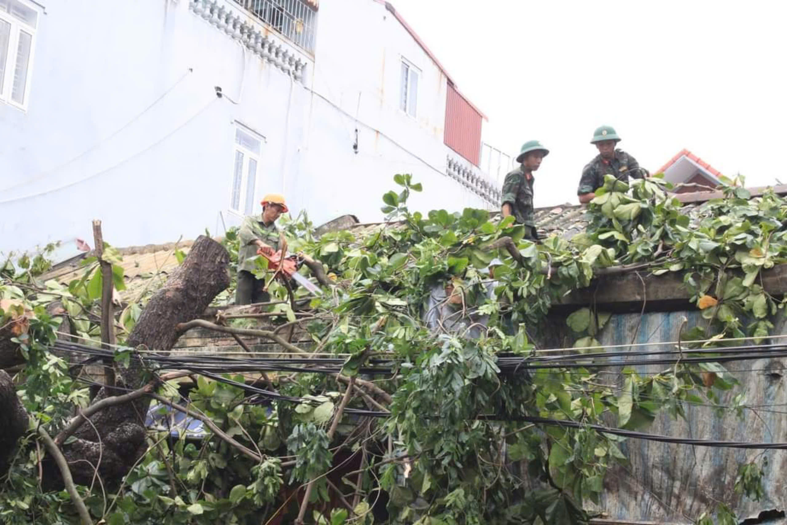 Hải Phòng: Các lực lượng vũ trang tham gia khắc phục hậu quả bão số 3- Ảnh 2. Hải Phòng: Các lực lượng vũ trang w88 luxury link w88 khắc phục hậu quả bão số 3- Ảnh 2.