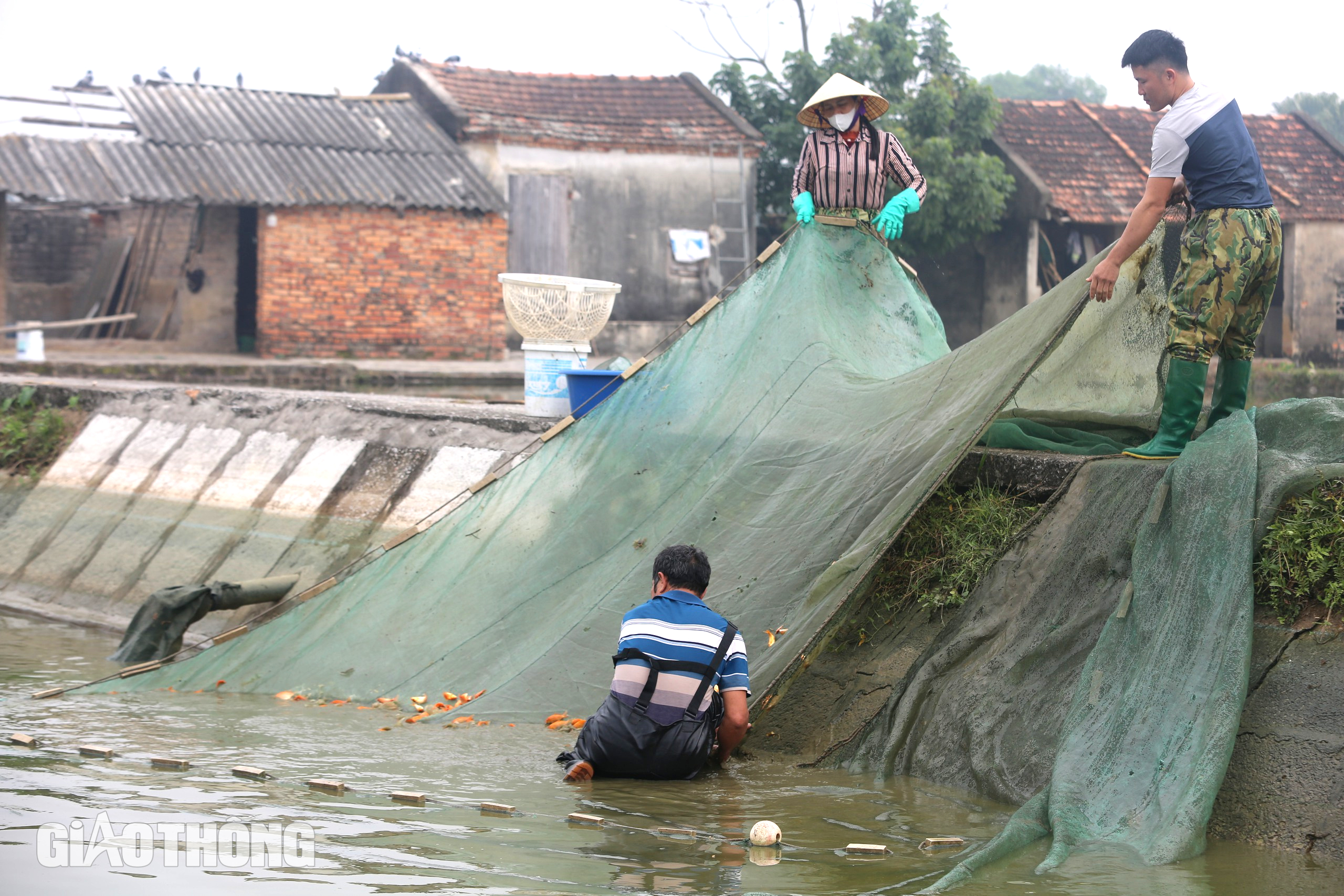 Làng sản xuất "phương tiện" cho ông Công, ông Táo hối hả thu hoạch- Ảnh 3.