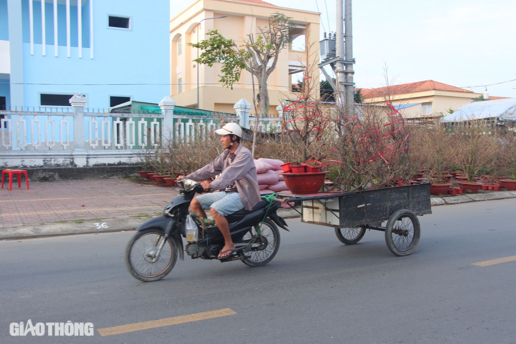 Chợ hoa kiểng Bạc Liêu nhộn nhịp ngày giáp Tết- Ảnh 7.