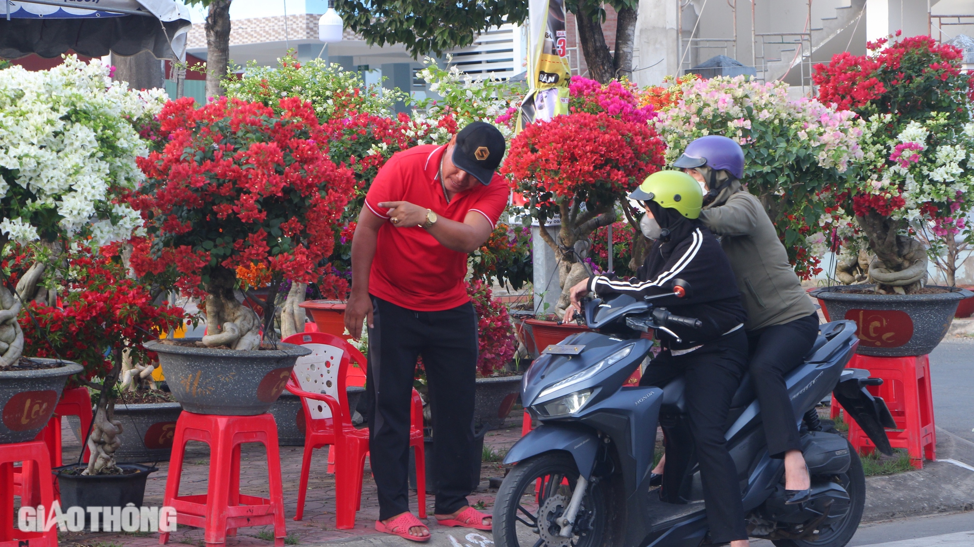 Chợ hoa kiểng Bạc Liêu nhộn nhịp ngày giáp Tết- Ảnh 2.