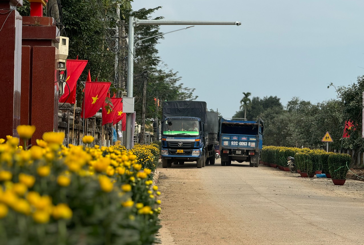 Làng hoa cúc lớn nhất miền Trung tấp nập ô tô "mang xuân" ra thị thành- Ảnh 1.