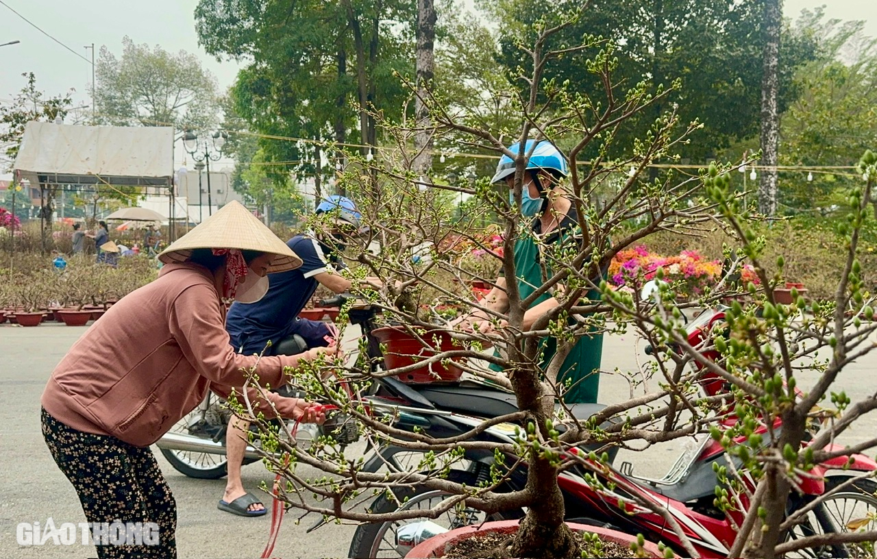 Chợ hoa Đồng Nai: Người xem đông, người mua ít- Ảnh 2.