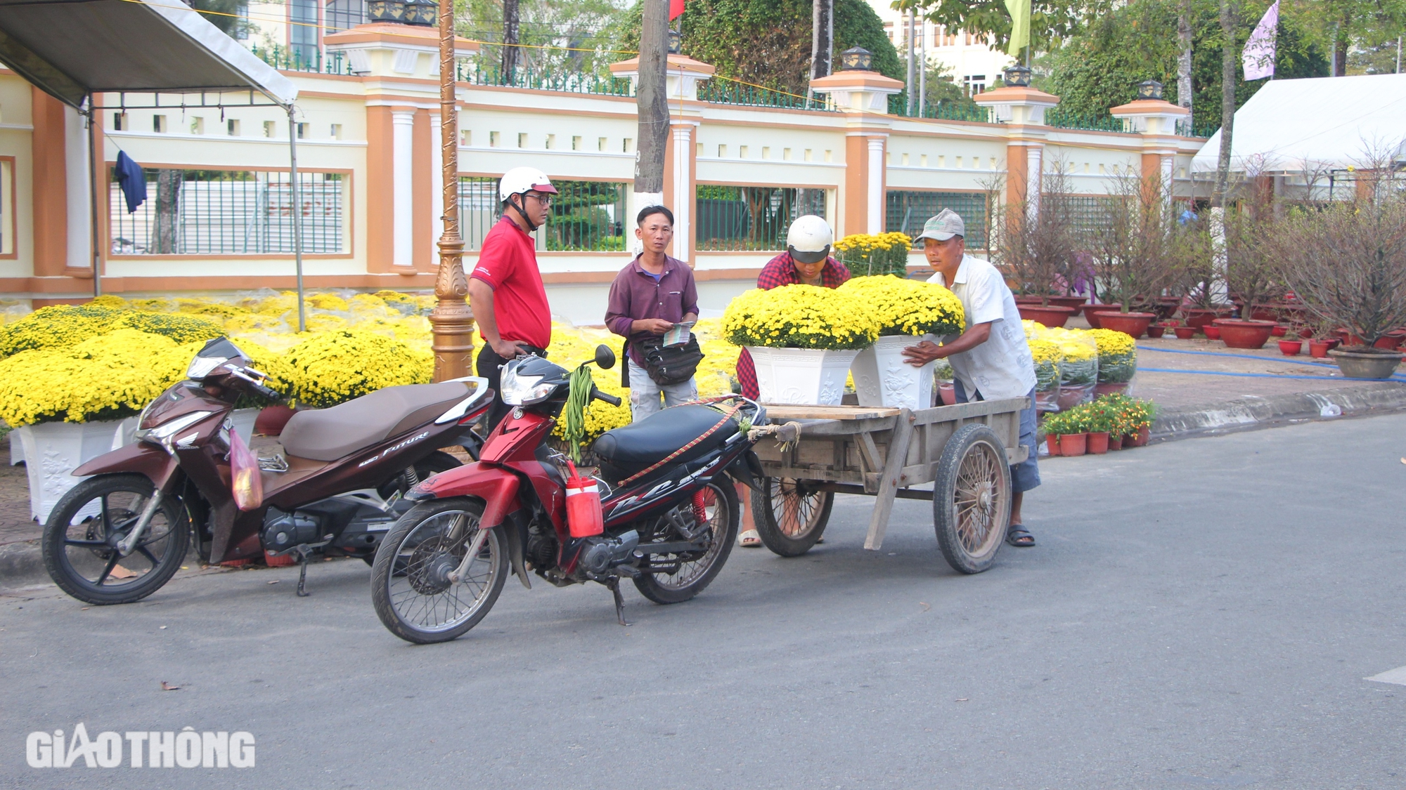 Chợ hoa kiểng Bạc Liêu nhộn nhịp ngày giáp Tết- Ảnh 3.