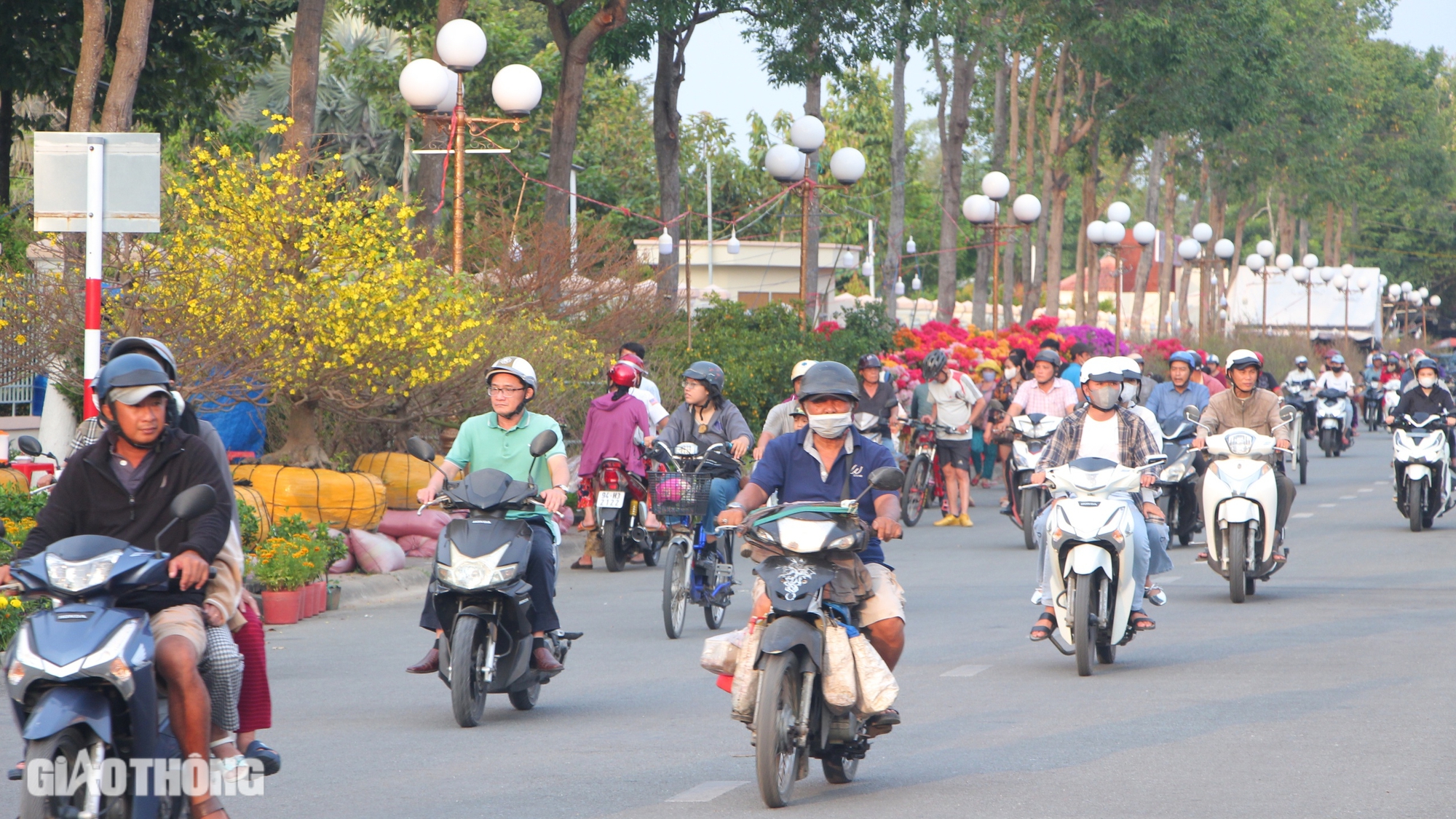 Chợ hoa kiểng Bạc Liêu nhộn nhịp ngày giáp Tết- Ảnh 4.