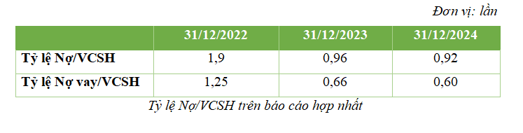 BCGE - Ty le no tren von chu so huu nam 2024