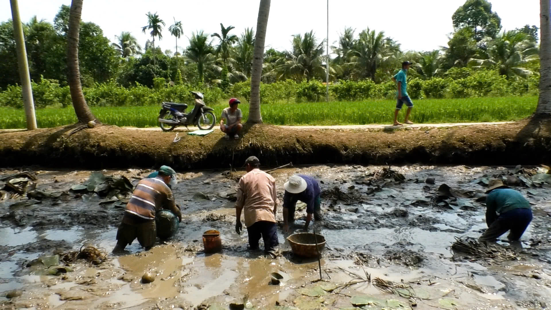 Về miền Tây tát đìa ăn Tết- Ảnh 6.