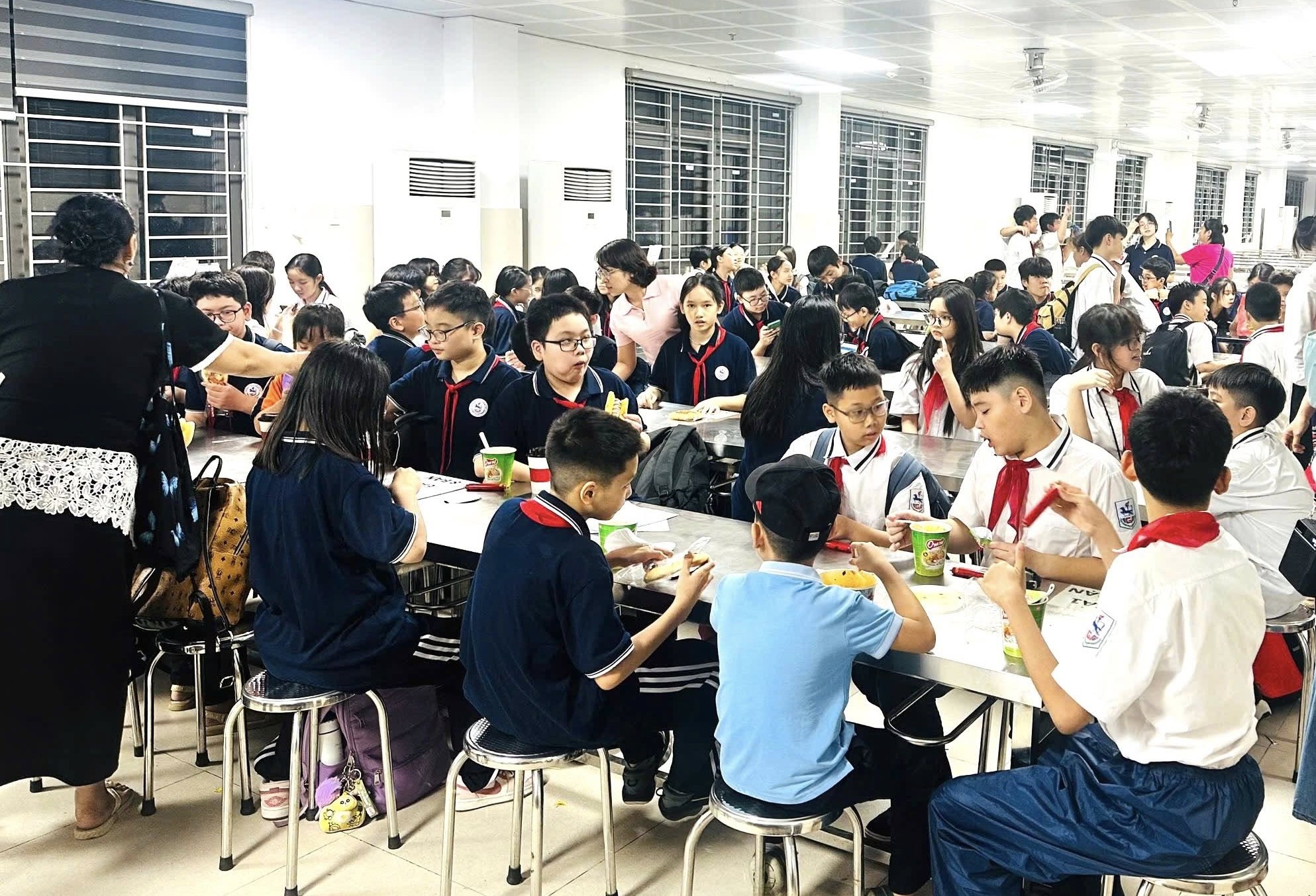 Chủ tịch Hà Nội giao Sở Giáo dục và Đào tạo chủ động phương án bảo đảm an toàn trường học- Ảnh 1.
