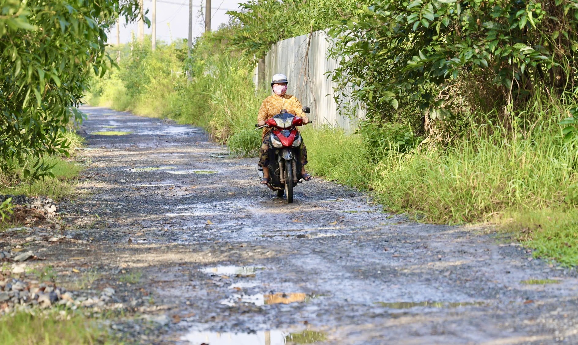 Toàn cảnh dự án King Bay Đồng Nai, dấu chấm lửng của giấc mơ đô thị sinh thái ven sông- Ảnh 3.