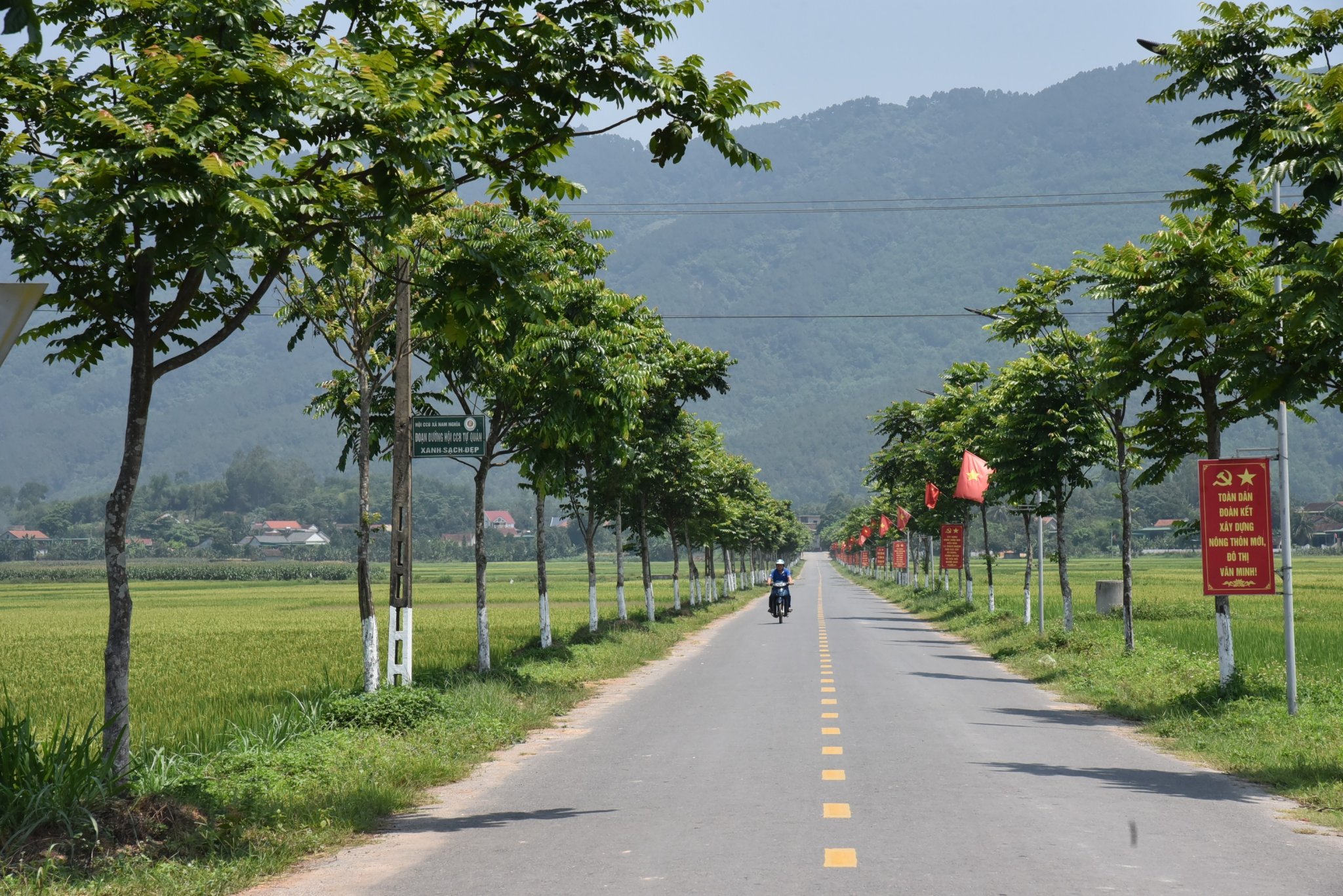 Nông thôn mới: Đề xuất 80% tuyến đường đạt chuẩn đô thị- Ảnh 1. Nông thôn mới: Đề xuất 80% tuyến đường đạt chuẩn đô thị- Ảnh 1.