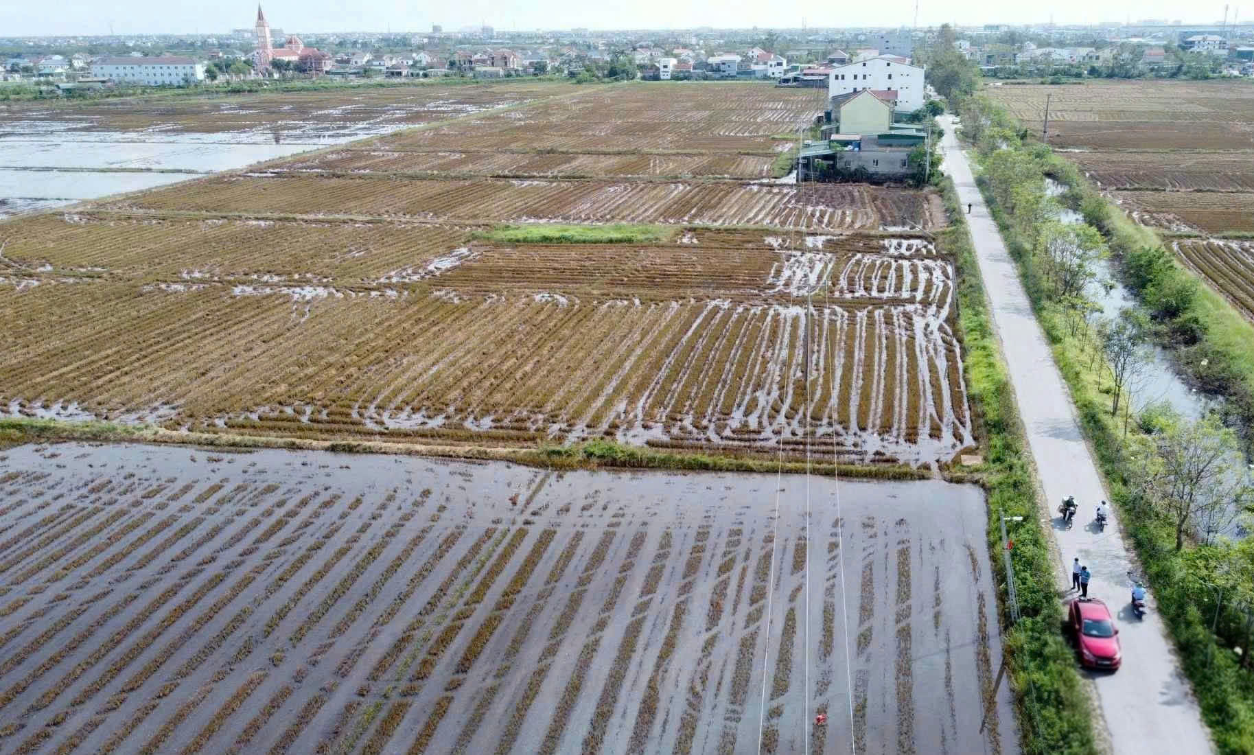 Nghệ An: Đẩy nhanh lập quy hoạch chi tiết các khu tái định cư dự án đường sắt tốc độ cao- Ảnh 2.