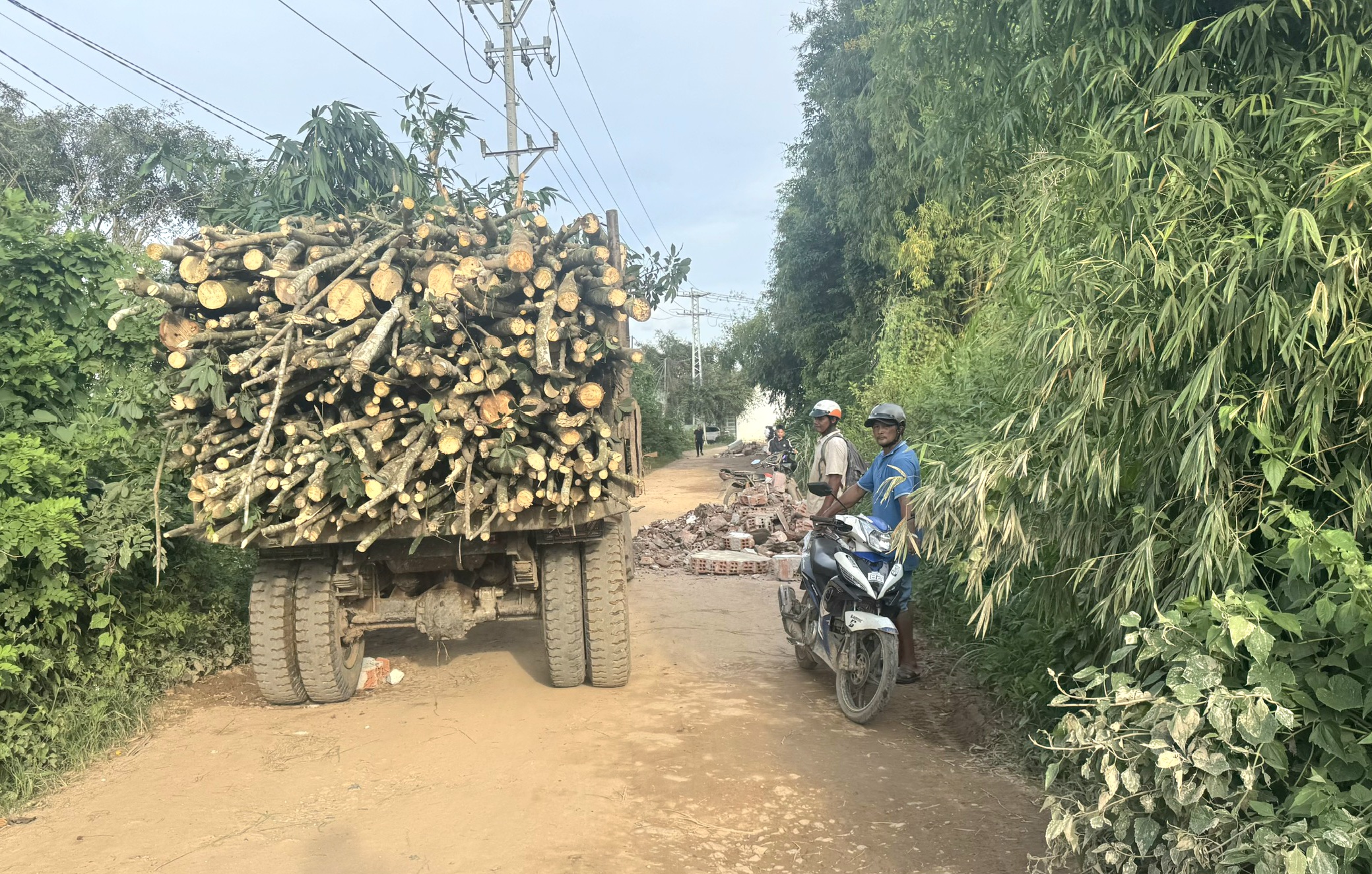 Cận cảnh cầu trăm tỷ ở Quảng Ngãi xây xong từ lâu chờ đường dẫn- Ảnh 10. Cận cảnh cầu trăm tỷ ở Quảng Ngãi xây xong từ lâu chờ đường dẫn- Ảnh 10.