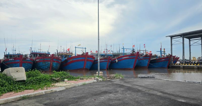 Ninh Bình: Siết chặt quản lý tàu, thuyền nhằm đảm bảo an toàn giao thông đường thủy- Ảnh 5. Ninh Bình: Siết chặt quản lý tàu, thuyền nhằm đảm bảo an toàn giao thông đường thủy- Ảnh 5.