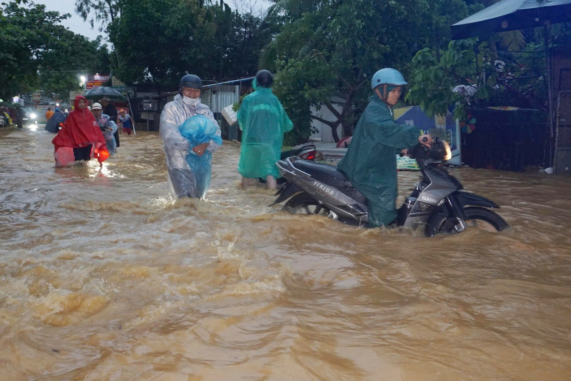 Nước lũ đục ngầu tràn xuống khu dân cư Đà Nẵng sau mưa lớn- Ảnh 7. Nước lũ đục ngầu tràn xuống khu dân cư Đà Nẵng sau mưa lớn- Ảnh 7.