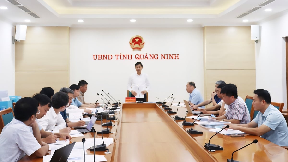 Quảng Ninh nâng cấp hệ thống đê điều, ứng phó thiên tai- Ảnh 3.